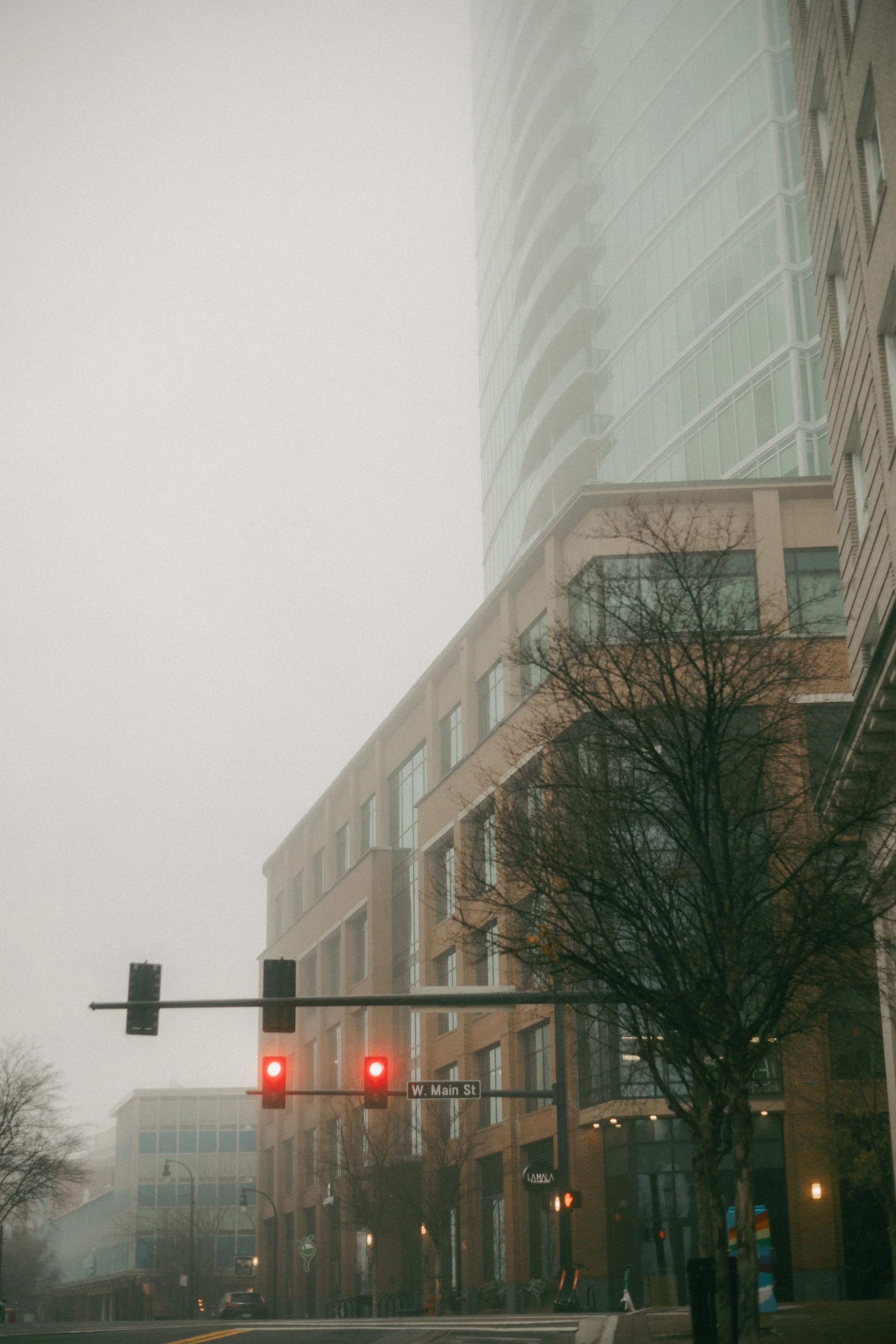Frozen Fog 2025-39.jpg