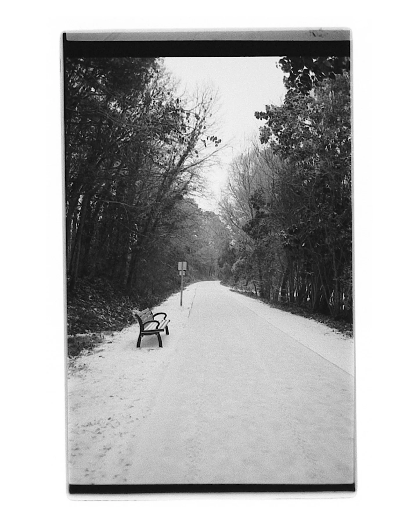 a peek at some images I fully developed and scanned myself at home 🫨

These are super low-res scans (I&rsquo;m waiting on one more part to get them higher quality) but I&rsquo;m so excited I have to share. The process of creating with film is just s