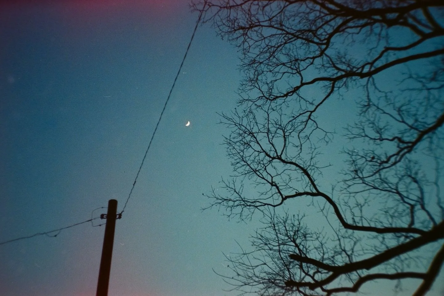 a few of my faves from a recent roll&mdash;cinestill halation mixed with a major light leak led to some cool effects! 

FILM FRIDAY
🎞️ @cinestillfilm 800T
📷 Olympus 35RC
👩🏻&zwj;🔬 develop and scan by me! 

&mdash;
#grainisgood #shootitwithfilm #f