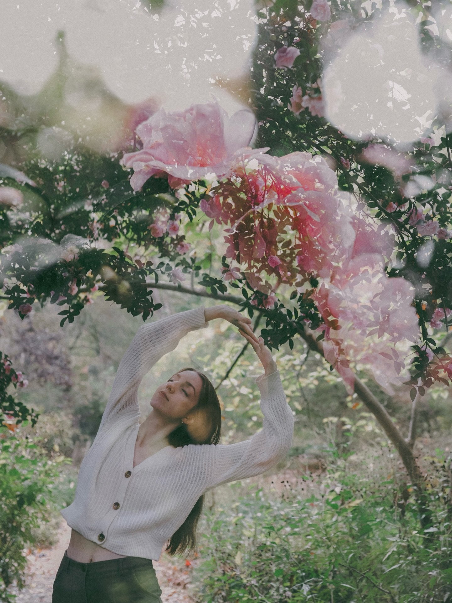 ITS STARTING TO FEEL LIKE SPRING! 🌷

Get your warm weather photos scheduled now at cmckkphoto.com/book before the yellowing begins we&rsquo;re all dying of allergies. Link in bio!

 ‼️ Reminder that I prefer to work in a donation-based, pay-what-you