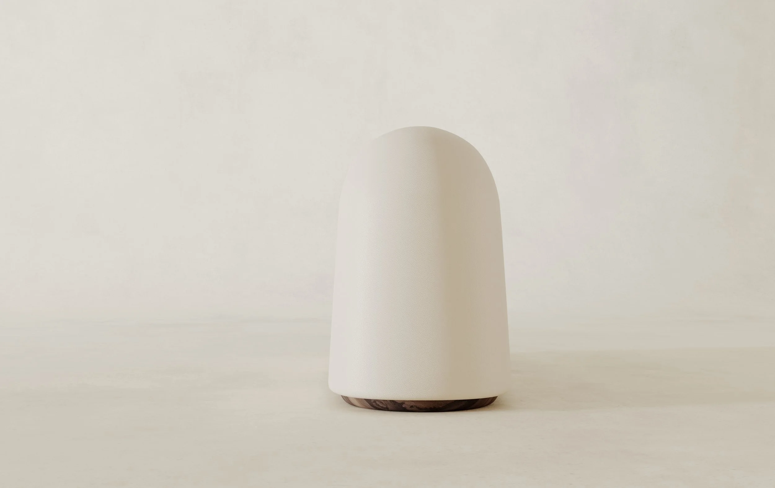 FRANCESCO BALZANO_MUN_04.02.jpg