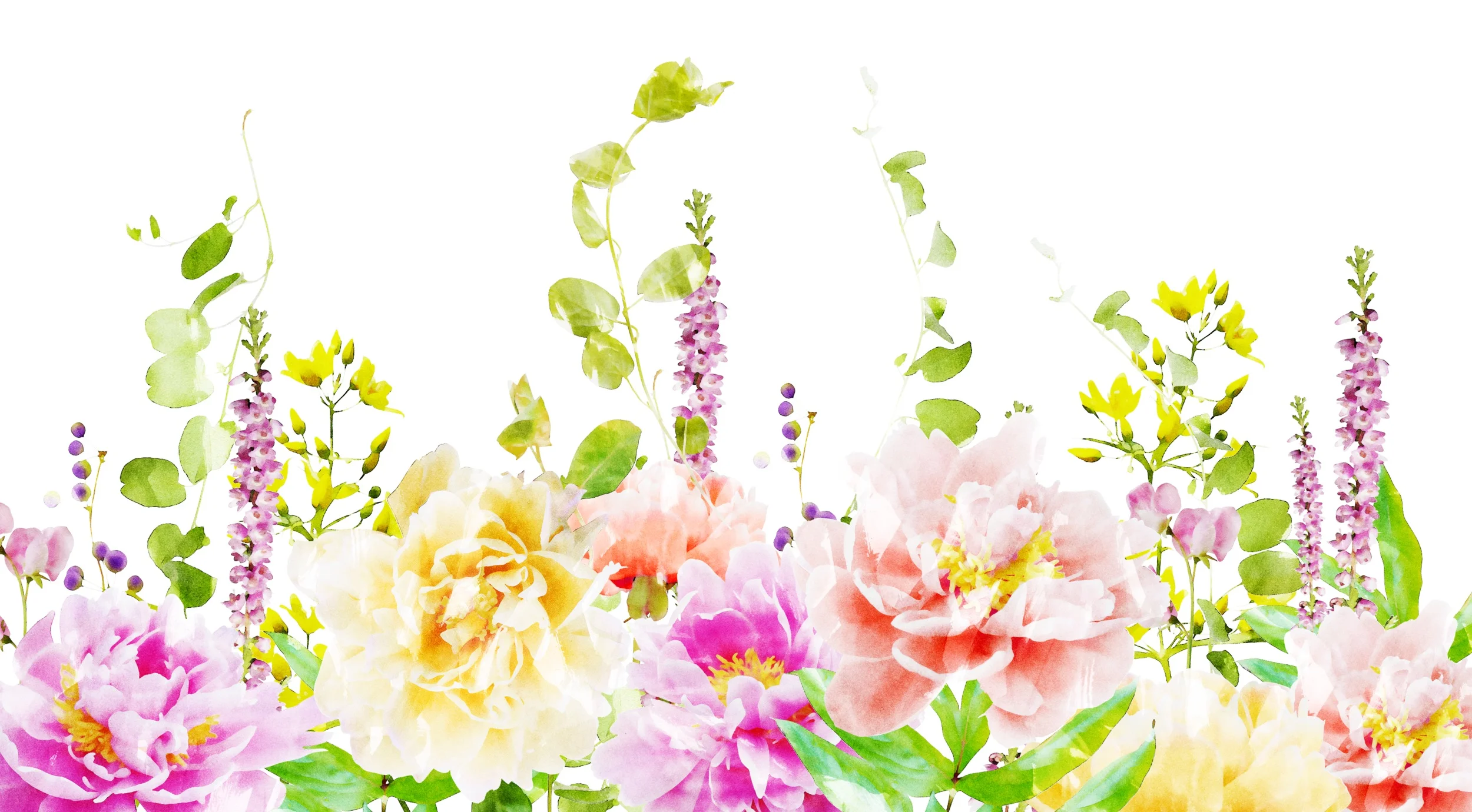FloralDrop_3.jpg