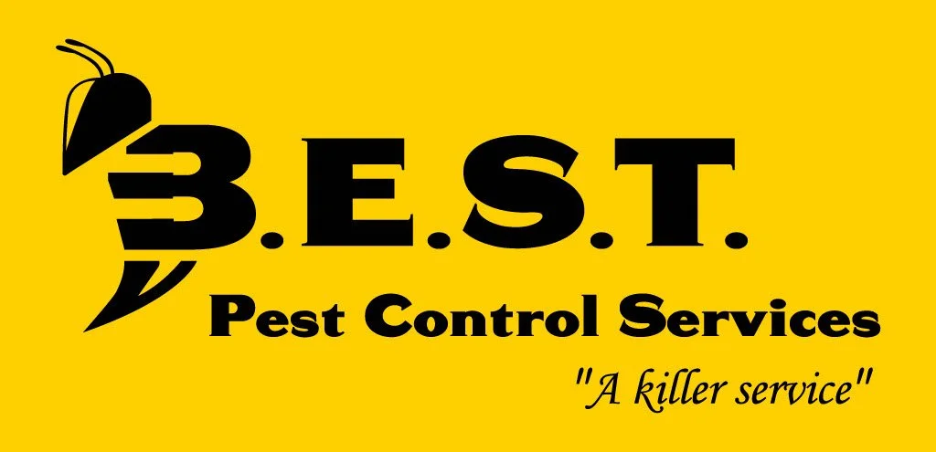 New BEST Logo.jpg