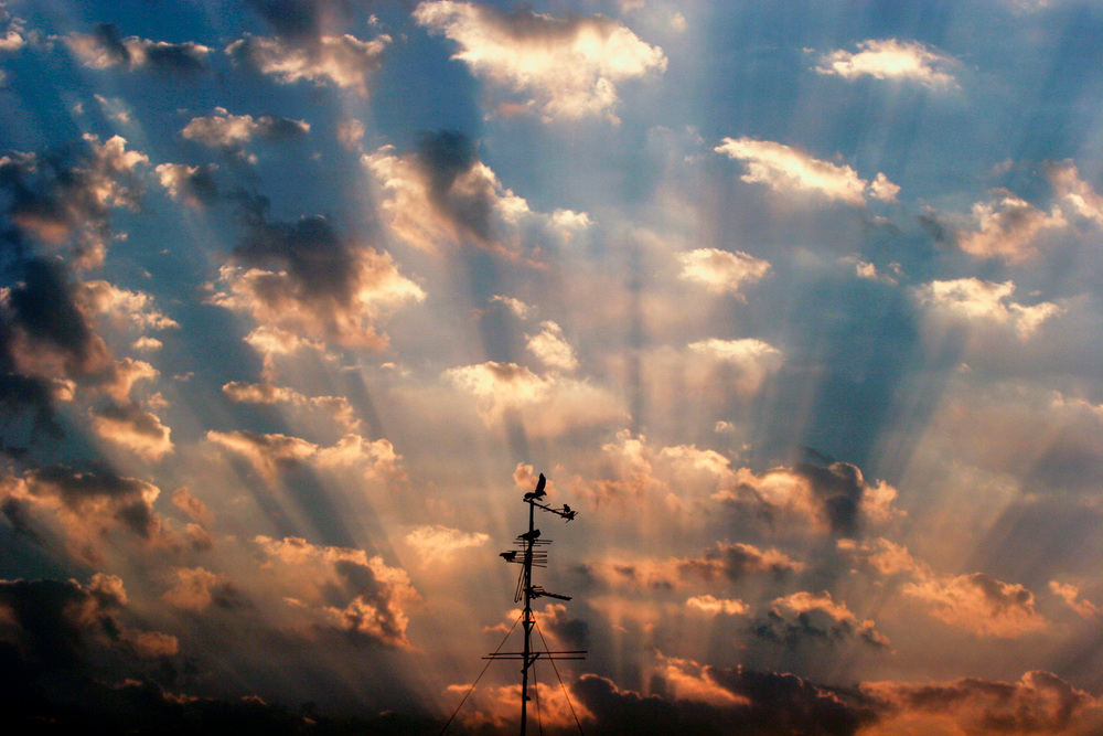 Israel_Jerusalem_birds_urban_sunset.jpg