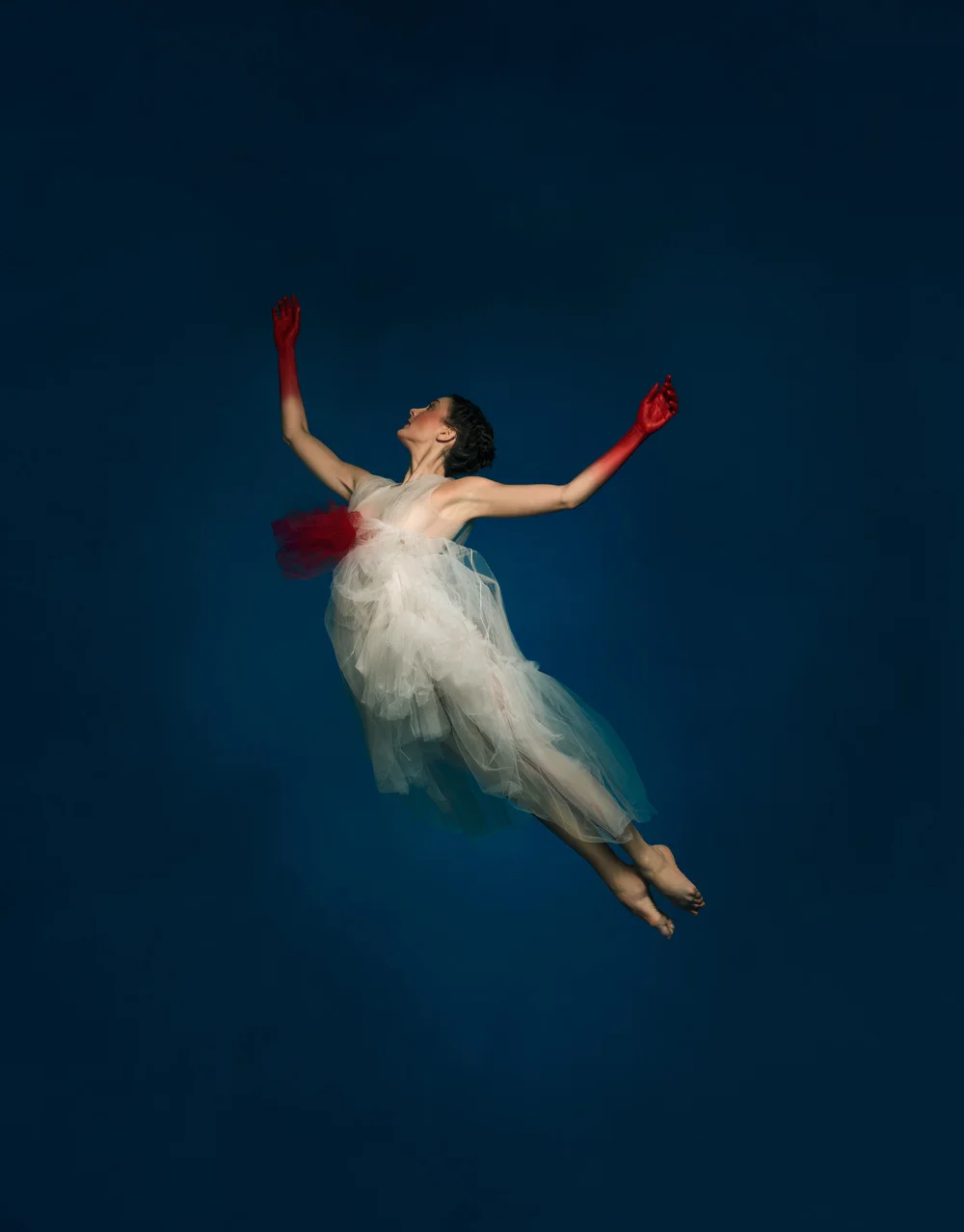 Grands+Ballets+A+Damian+Siqueiros+RenataGenerique-2224.jpg