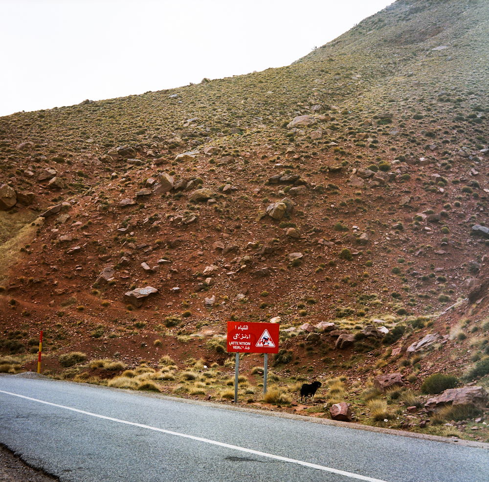 morocco_filmphotos-23.jpg