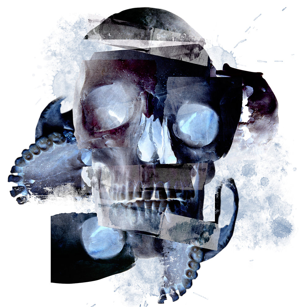 Skull-Abstract-(Web-Version).jpg