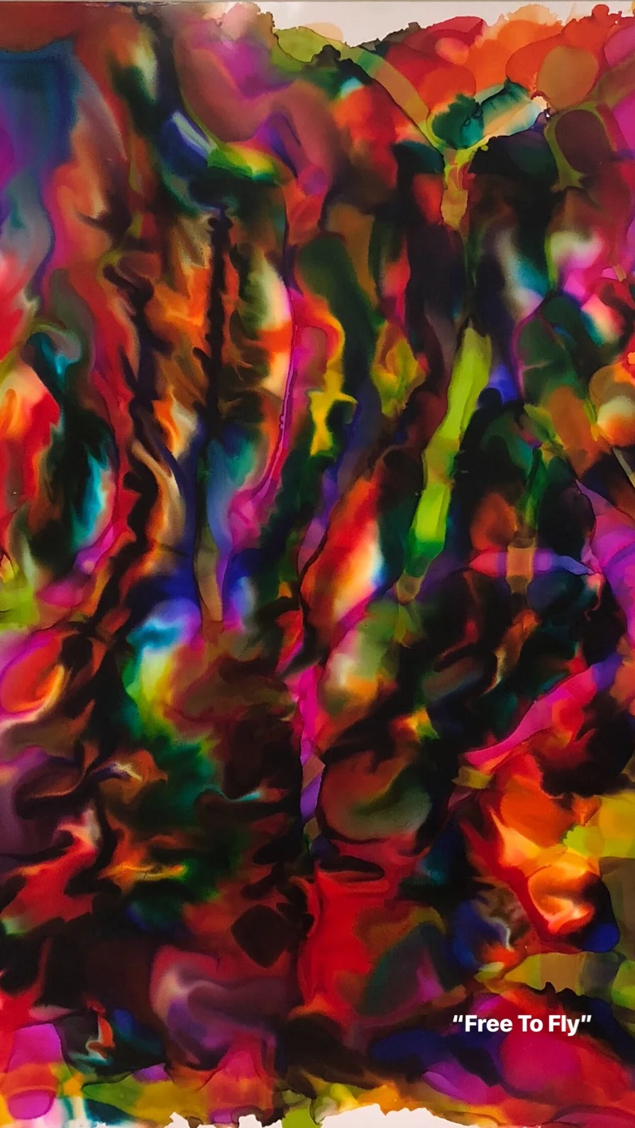 Bryant Small - FreeToFly_BryantSmall.JPG