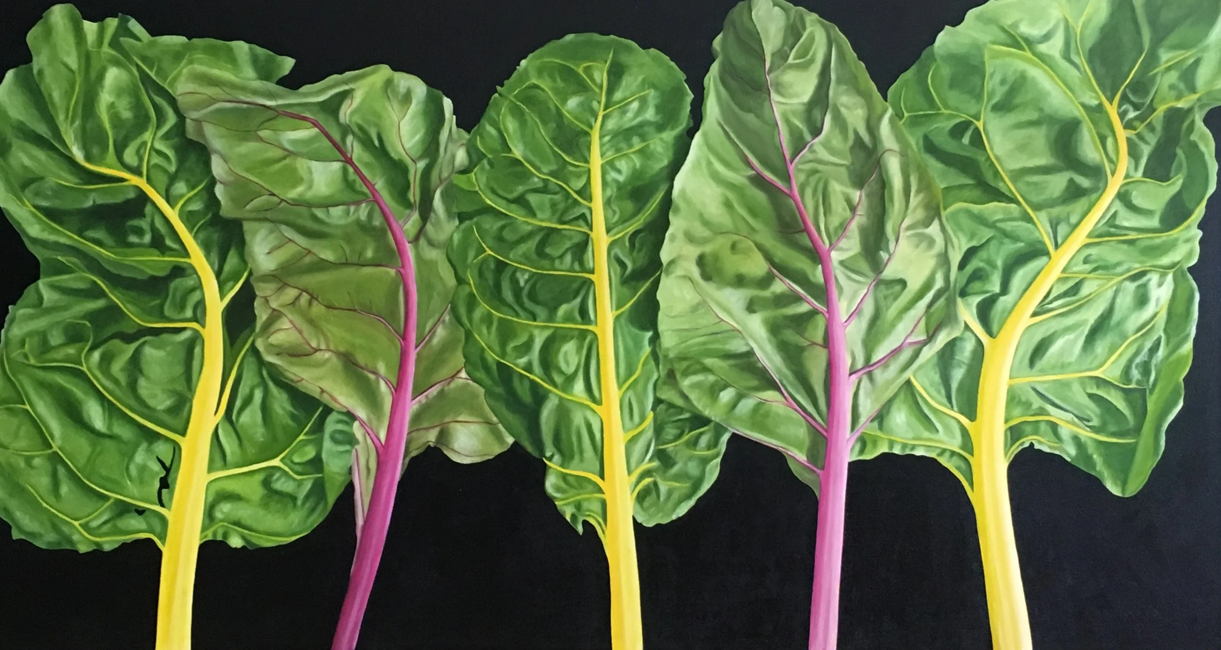 Alexandra von Fedak - 12B42DF5-A4DA-4DC9-8D15-AF1DE2AD1AE3.jpeg