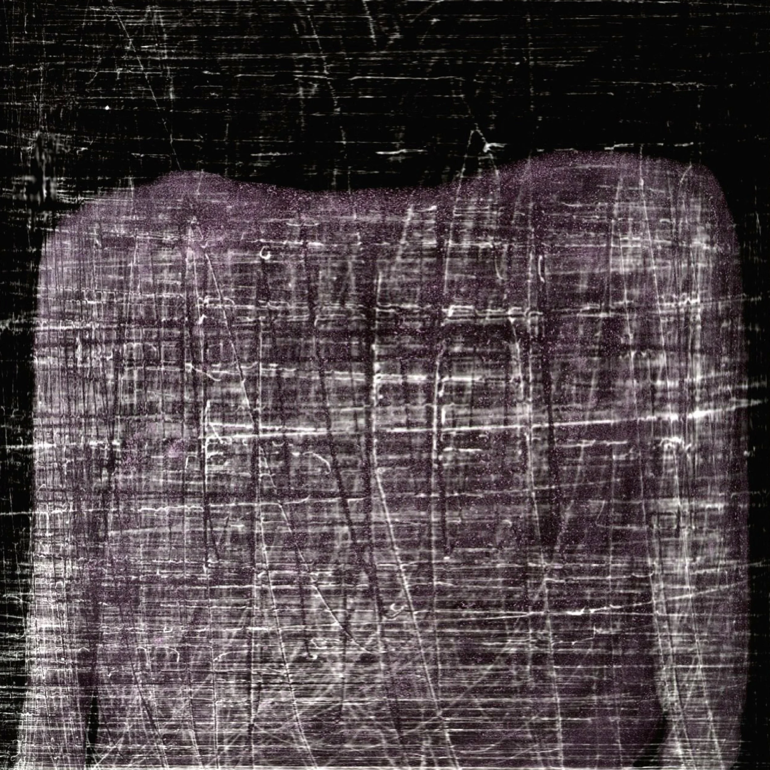 Rene Roalf - Rene_Roalf_AnimaAnimus_SelfSeriesI_2001 (2).jpg