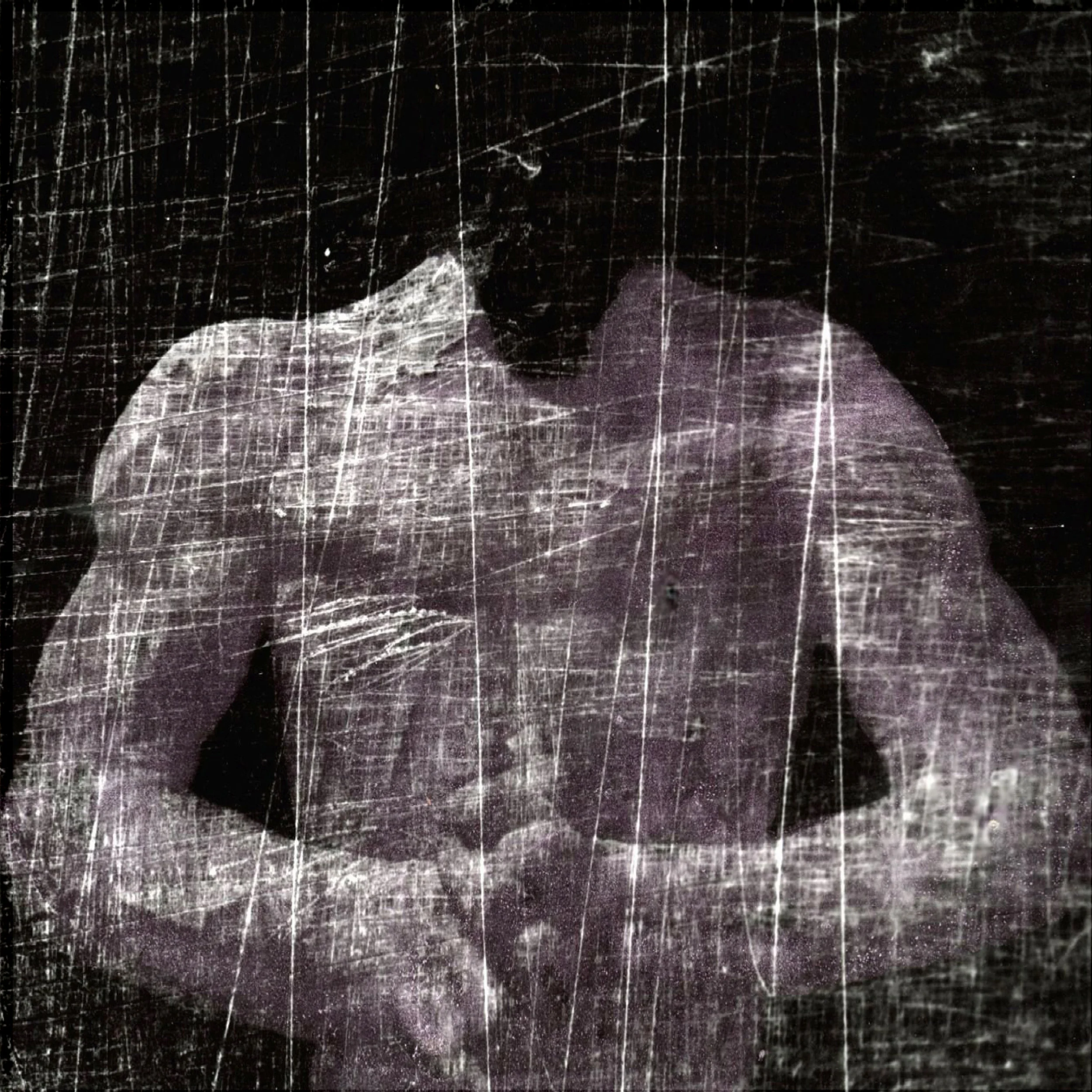 Rene Roalf - Rene_Roalf_AnimaAnimus_SelfSeriesI_2001 (3).jpg