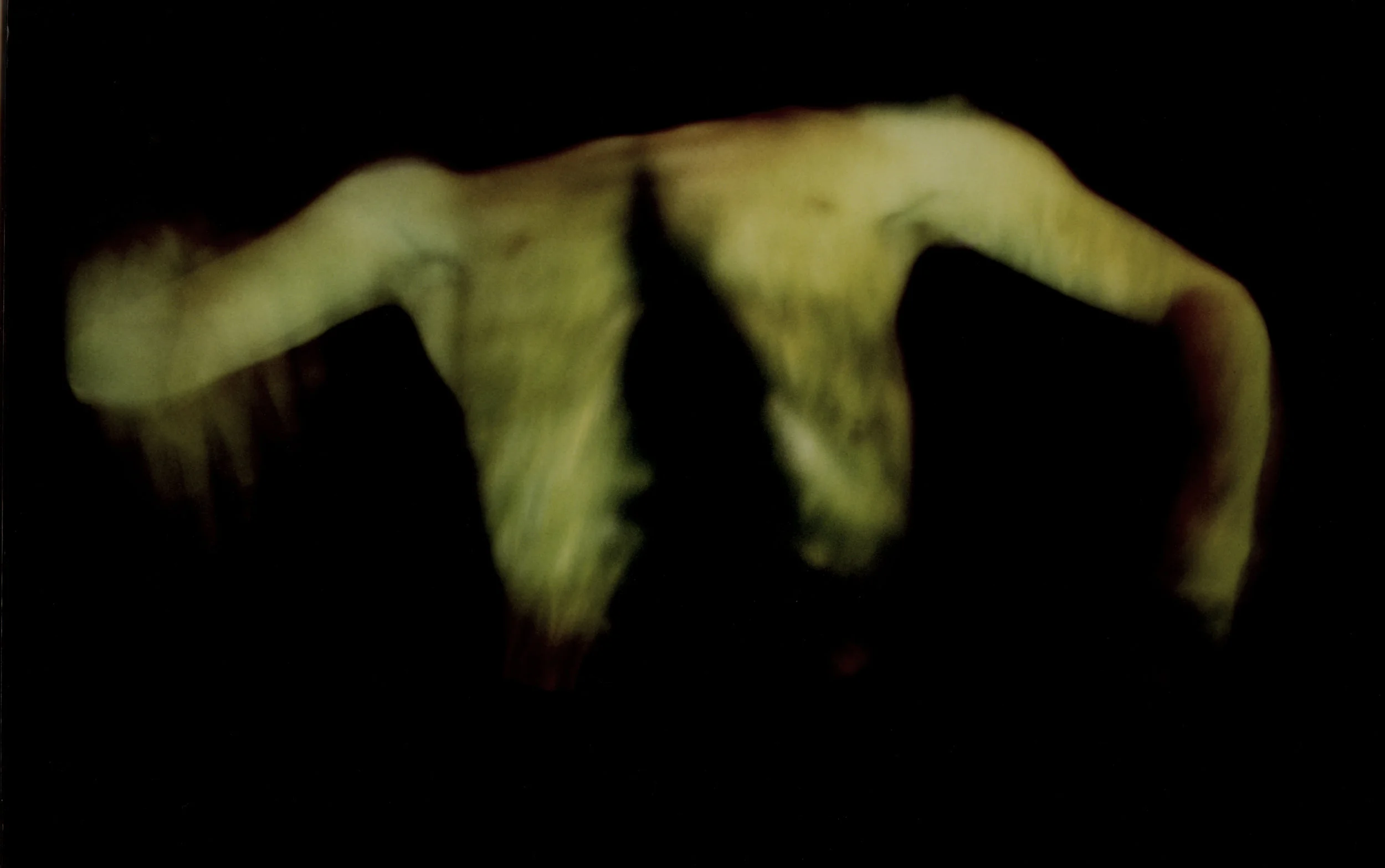 Rene Roalf - Rene_Roalf_Pain_SelfSeries_1998.jpg