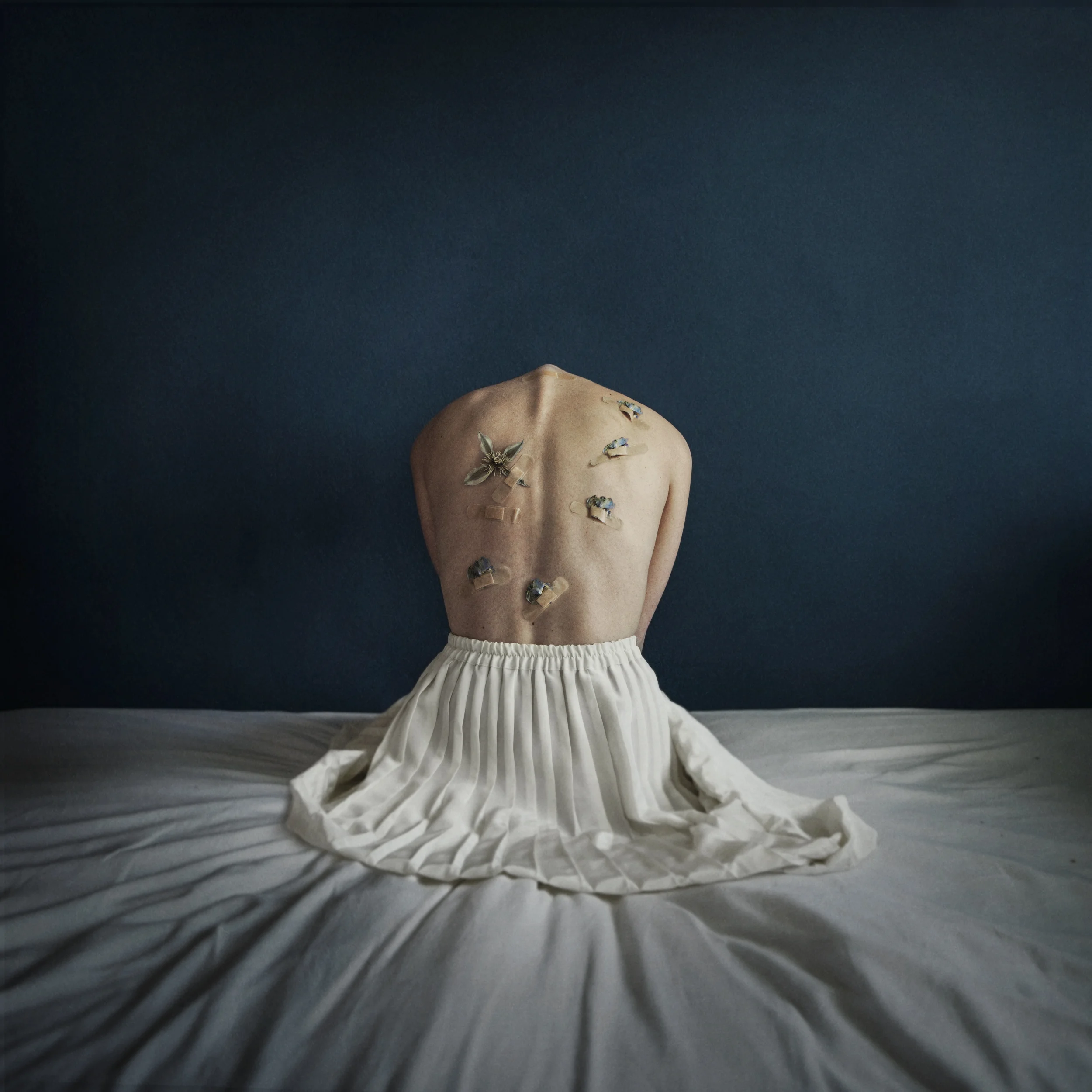 Lieke Anna Haertjens - Lieke_Anna_The Courage of a Flower Part II_2019.jpg