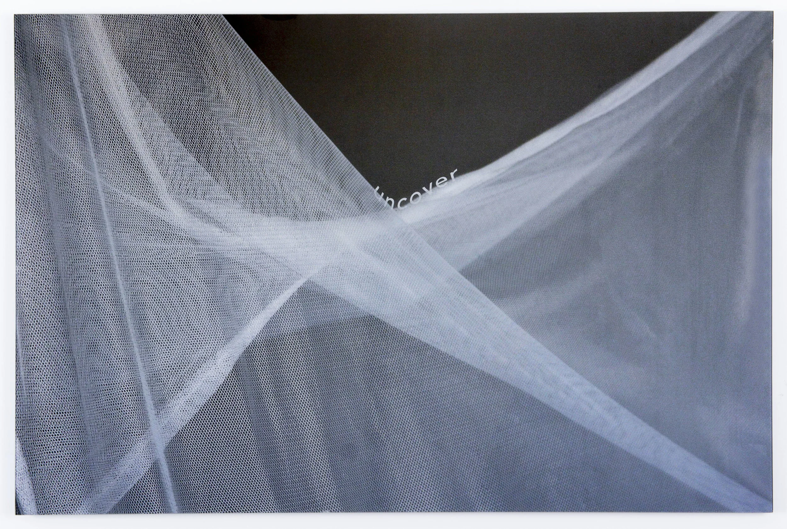 Ann  Chwatsky - UNCOVER.jpg