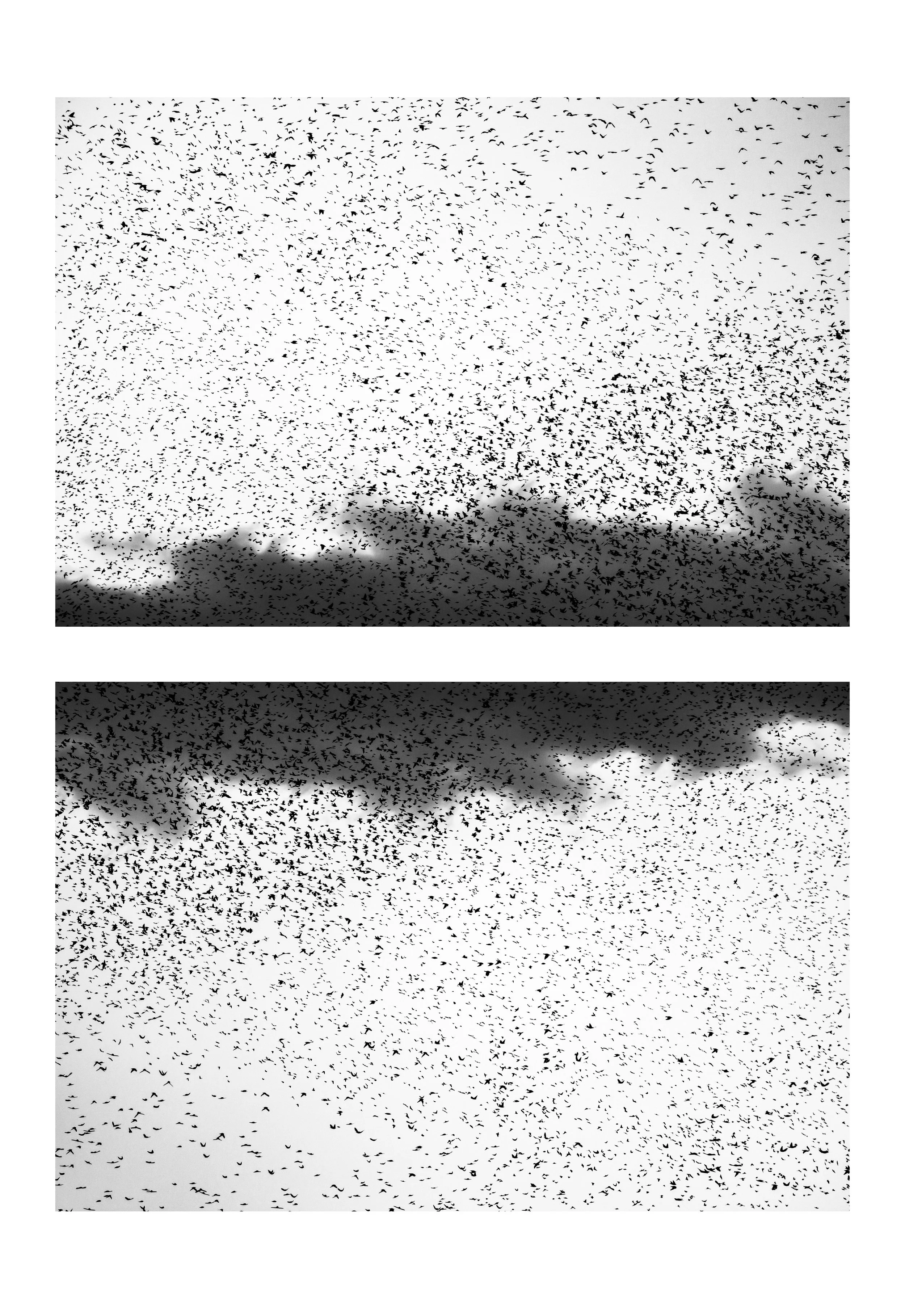 Antonio Pinna - Escape # 33.jpg