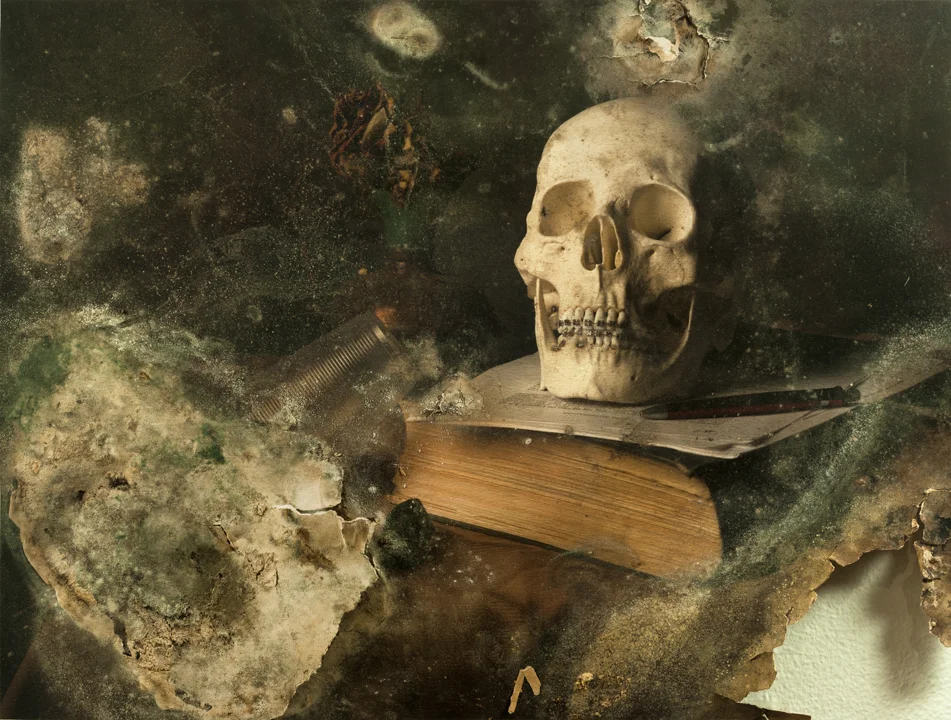 Aaron+Alamo+-+aaron_alamo_skull_and_cup_2014.jpg