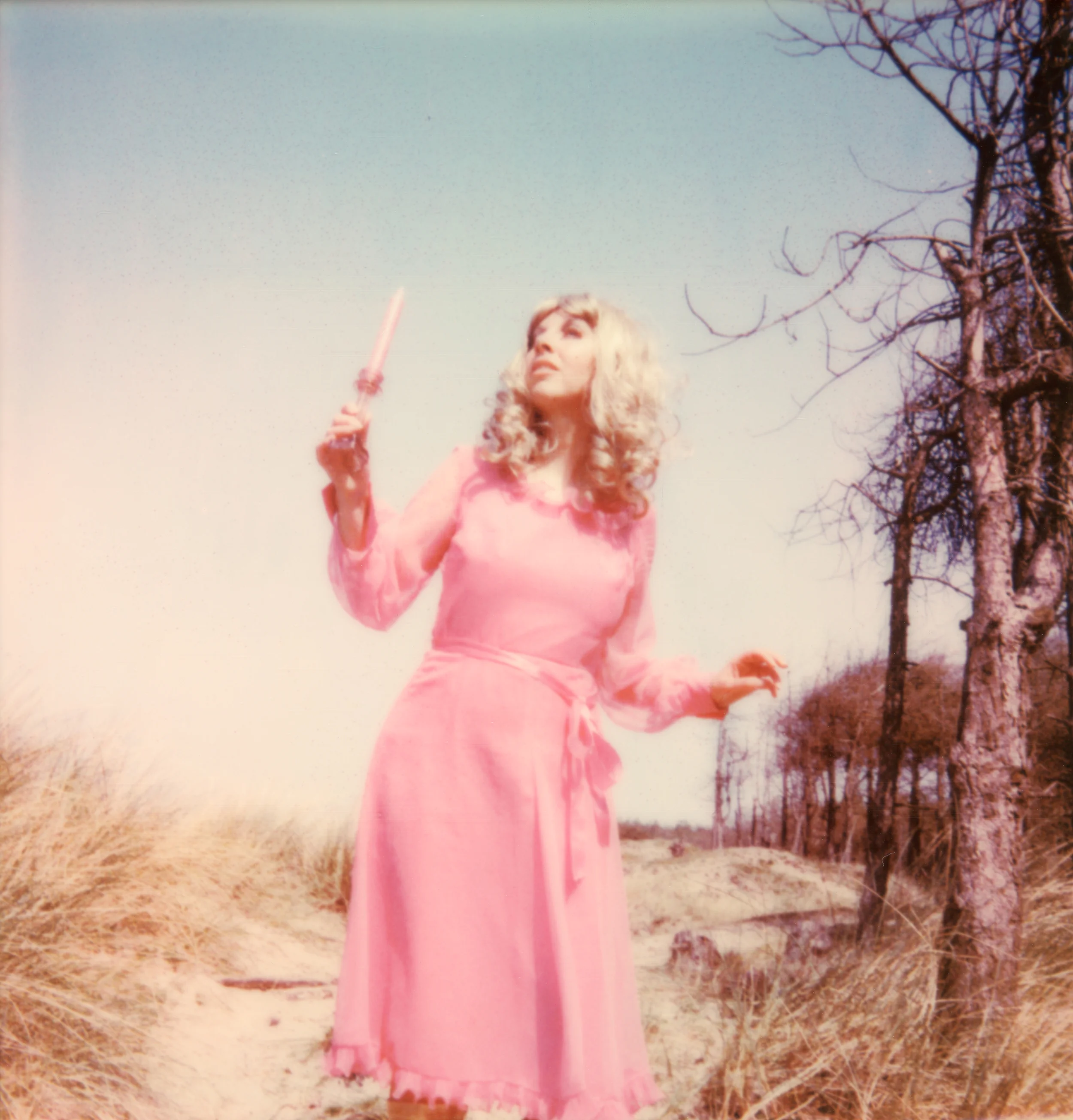 Clare Marie Bailey - Clare Marie -Bailey-Forest Haze -2019jpg.jpg
