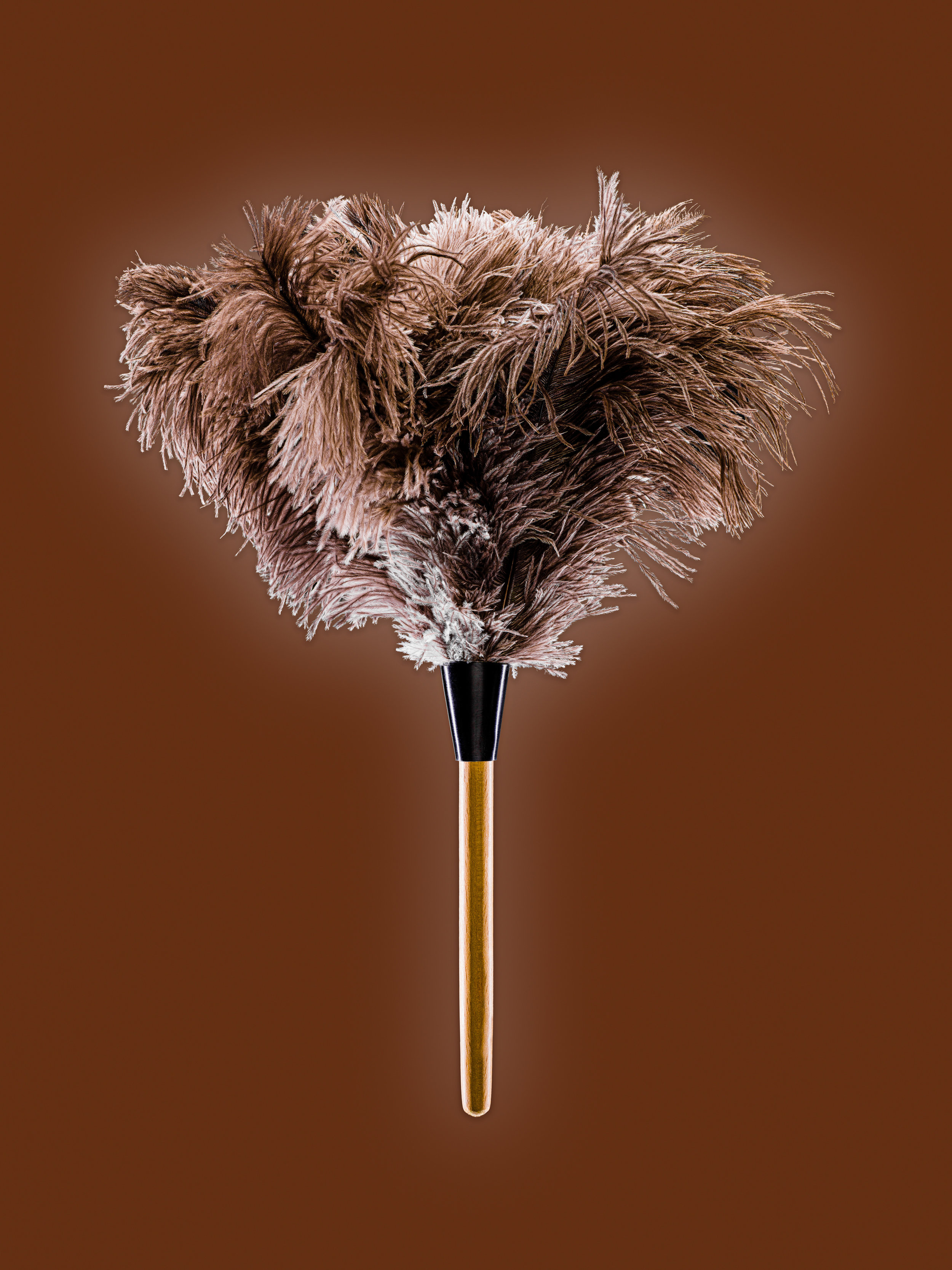 Dana Hursey - Dana_Hursey_FeatherDuster_2019.jpg