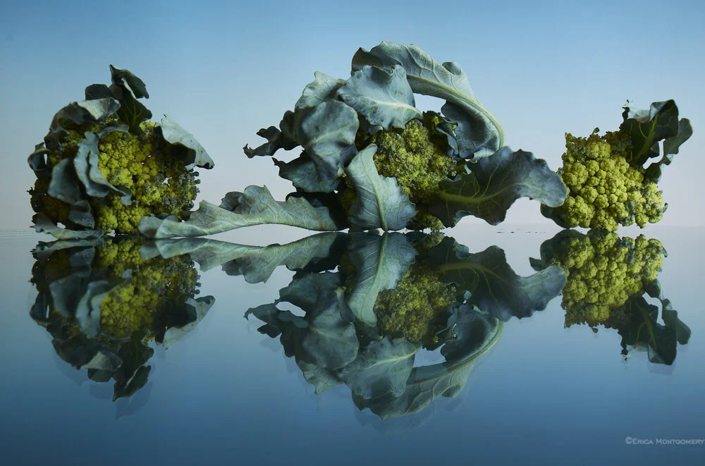 Erica+Montgomery+-+Erica_Montgomery_cauliflower__2019_IMGL1897.jpg