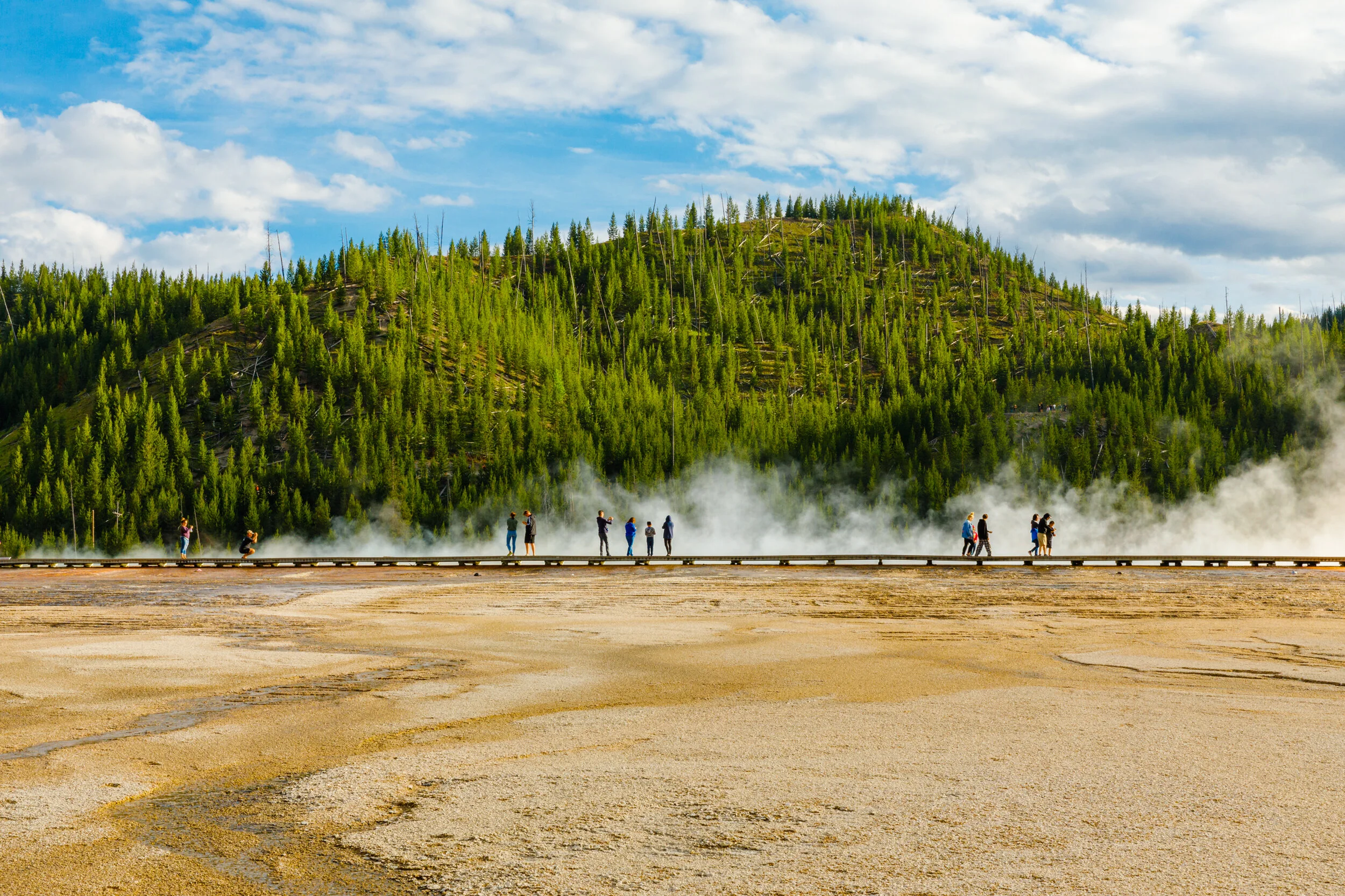 Amalya Shandelman - Amaya_Shandelman_YellowstoneNationalParkLandscape_2019.jpg