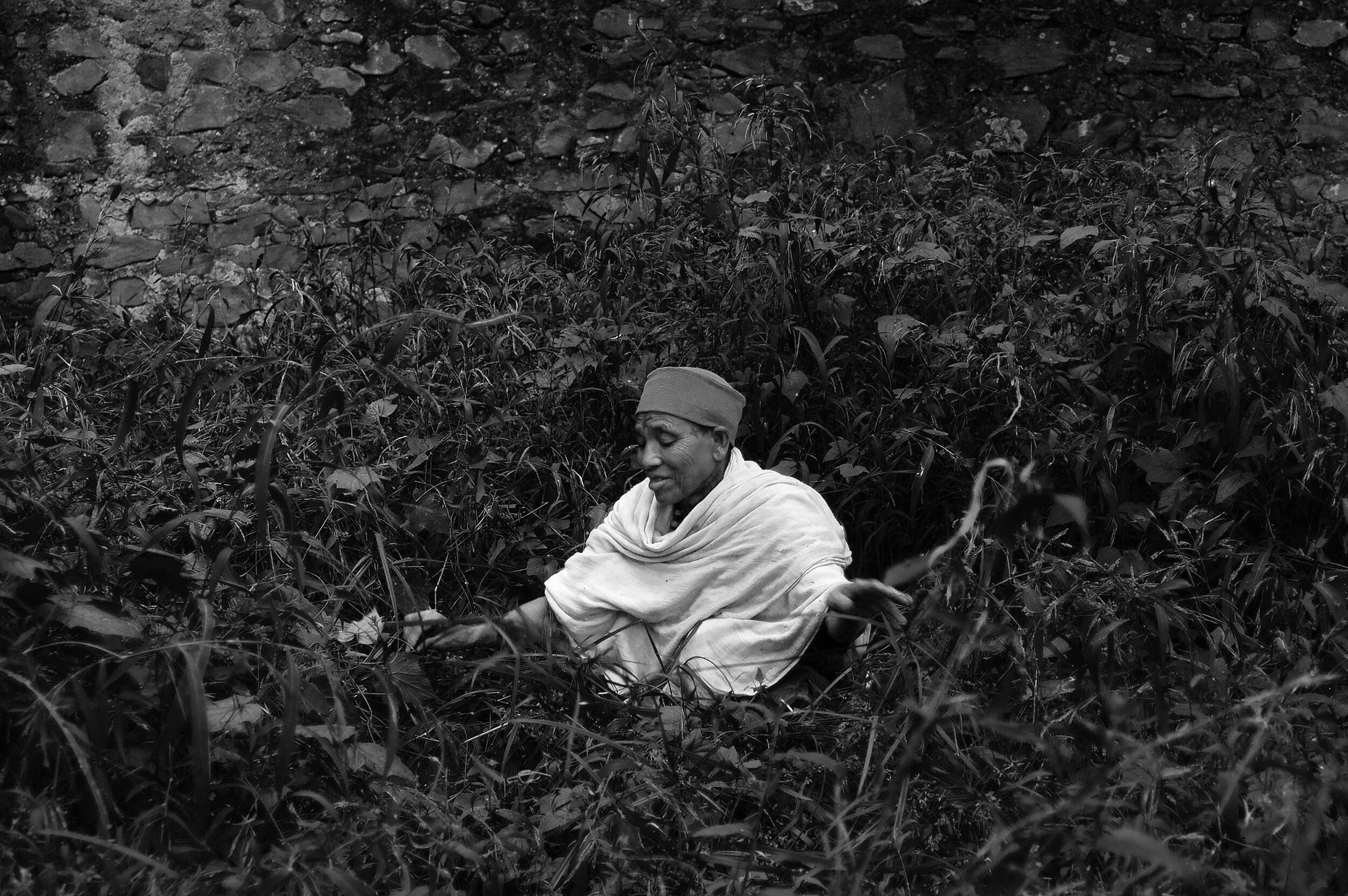 1 picking weed .jpg