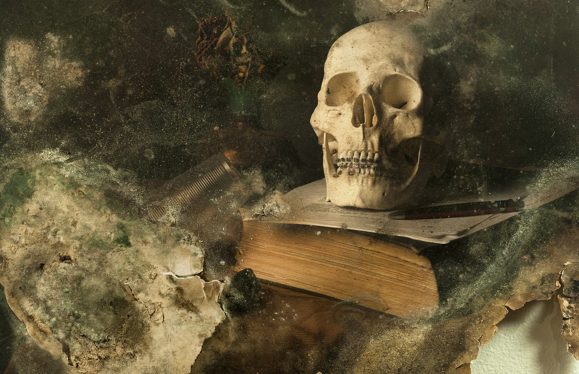 aaron_alamo_skull_and_cup_2014.jpg