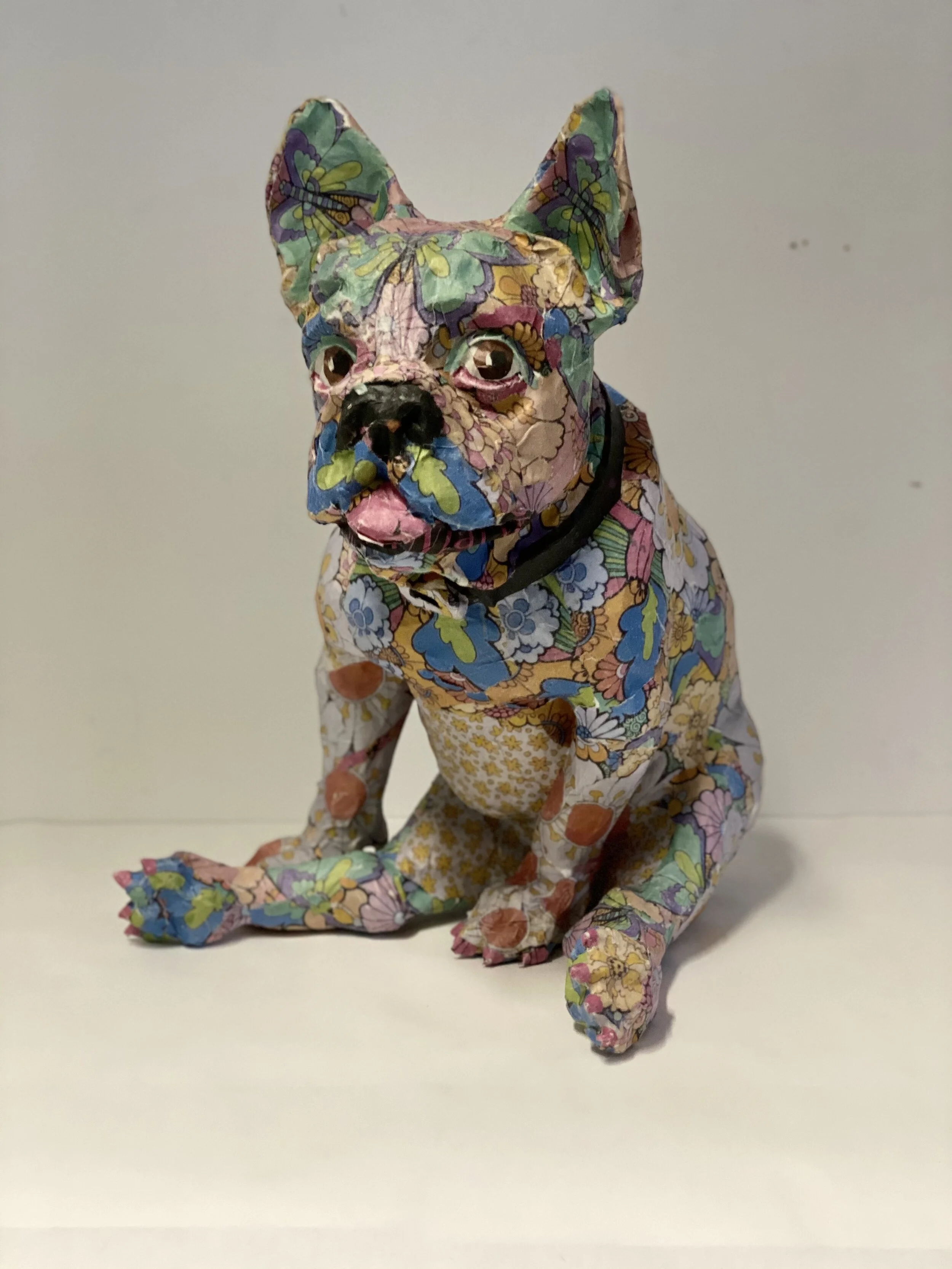 WILL KURTZ - SPECIAL EDITION (Copy)
