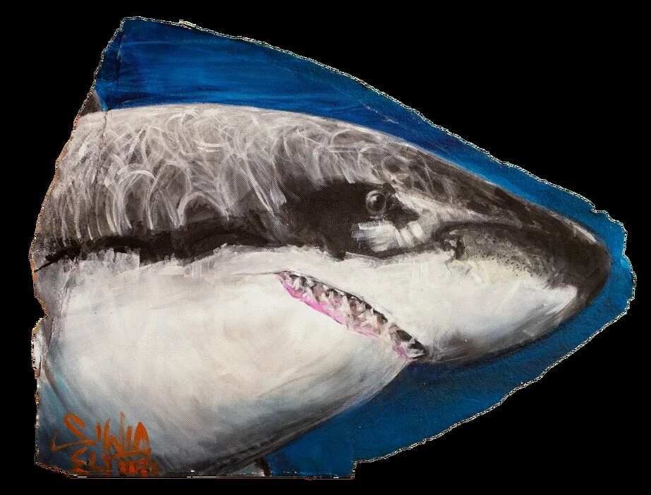 Shark.jpg