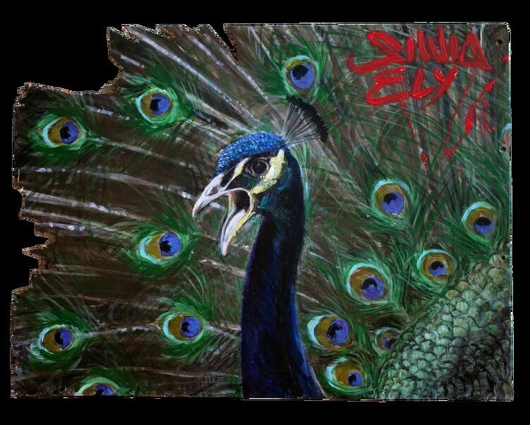 Peacock_.jpg