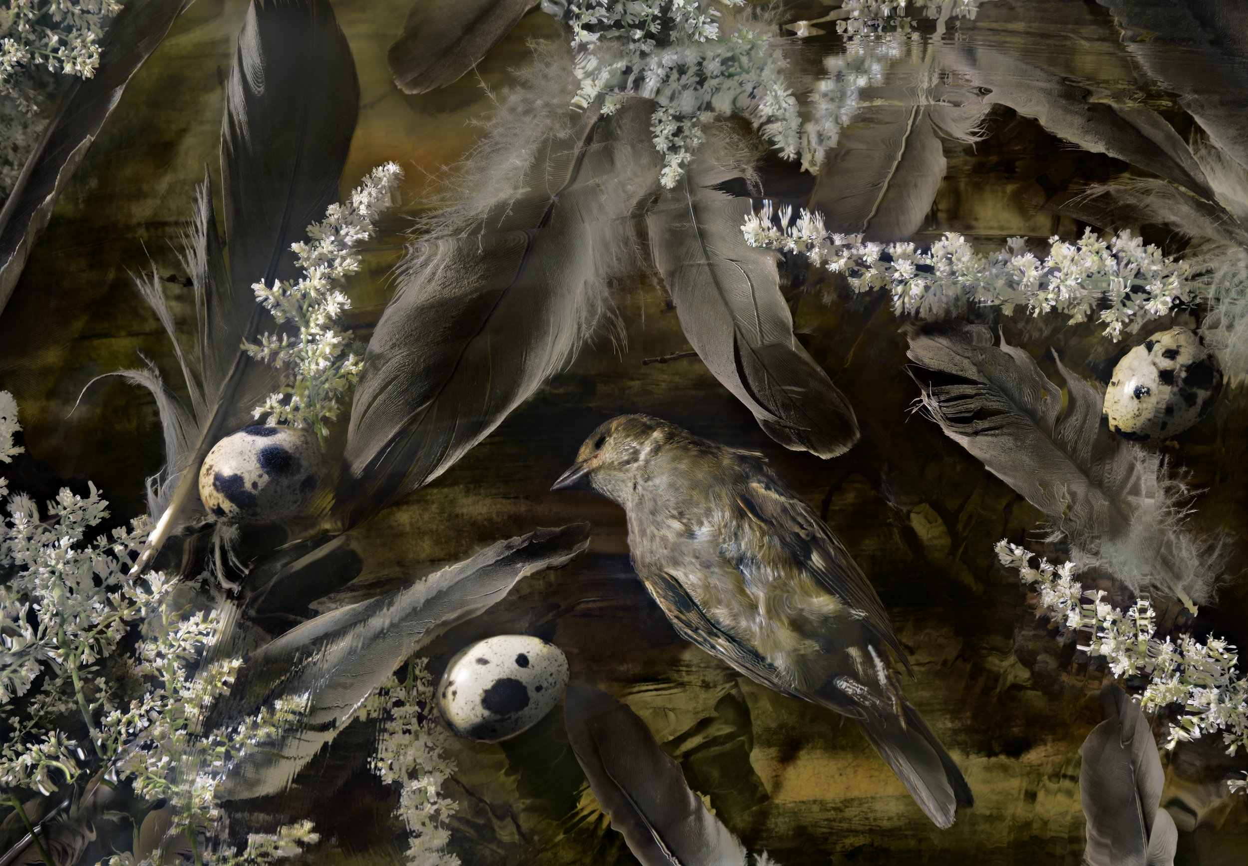 Susan Richman, Birds Of A Feather.jpg