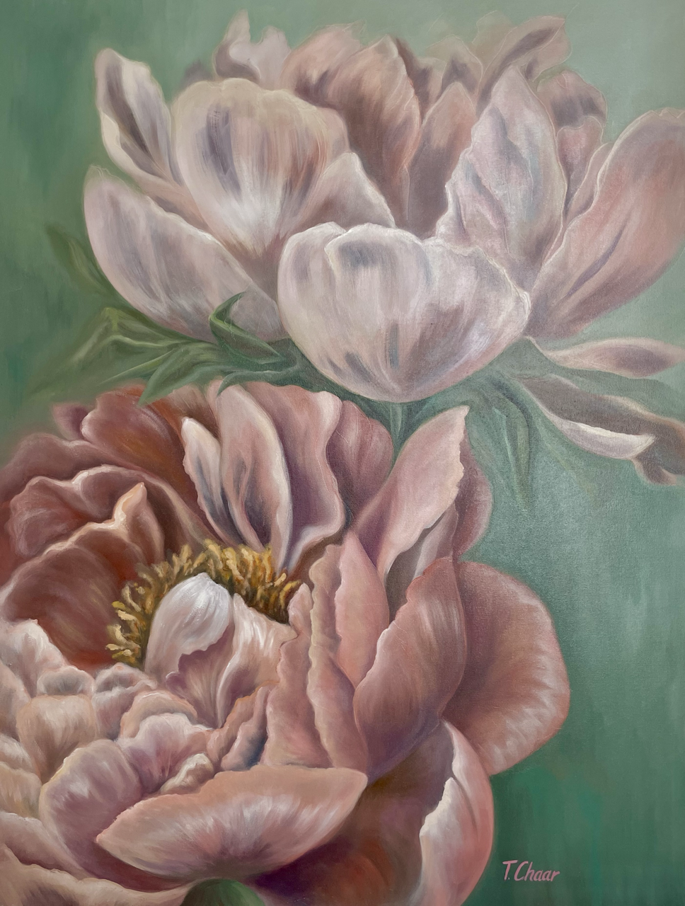 Coral Peonies, oil on canvas.