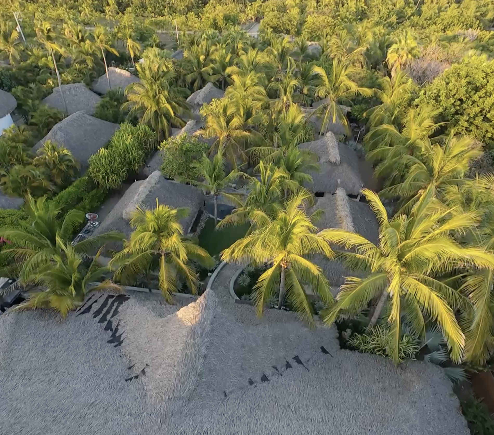 Captura de pantalla 2026-02-08 a la(s) 8.07.27 p.m..png