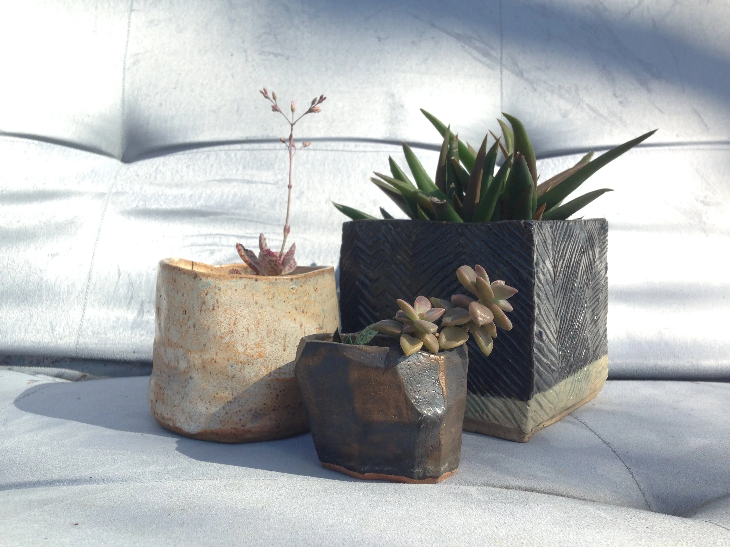 Holiday Shop Hours with Crazy Plant Bae: 12/20, 11a-3p