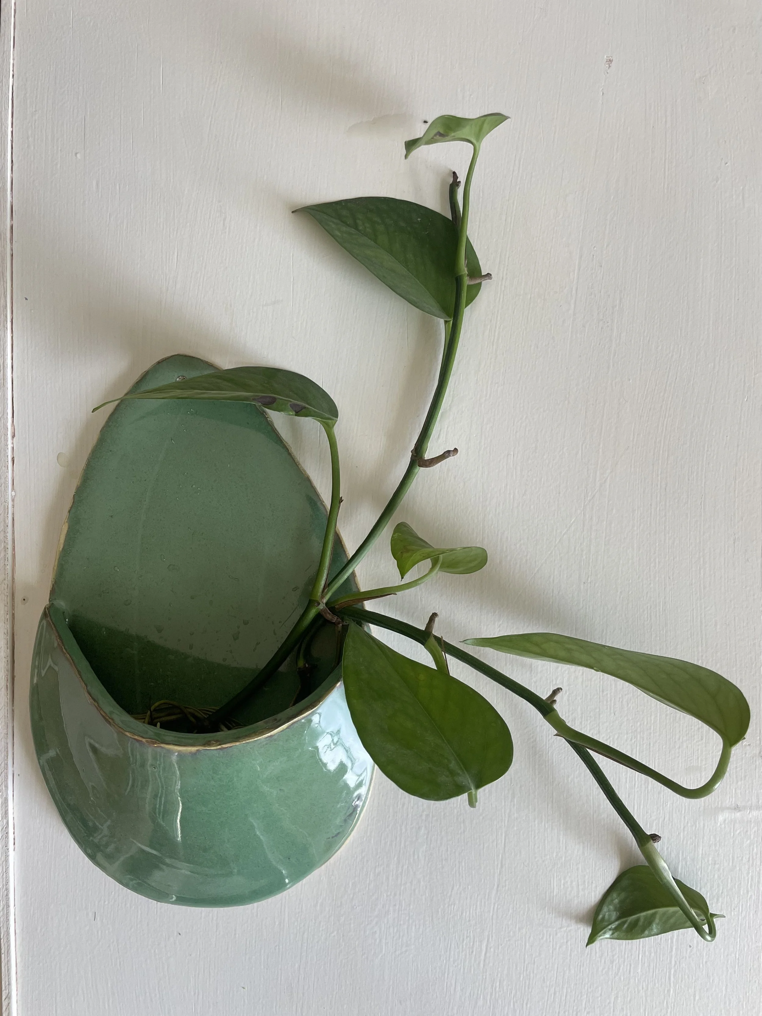 Queer Sober Happy Hour: Pocket Planters! Sunday, February 8, 6-8p (single session)