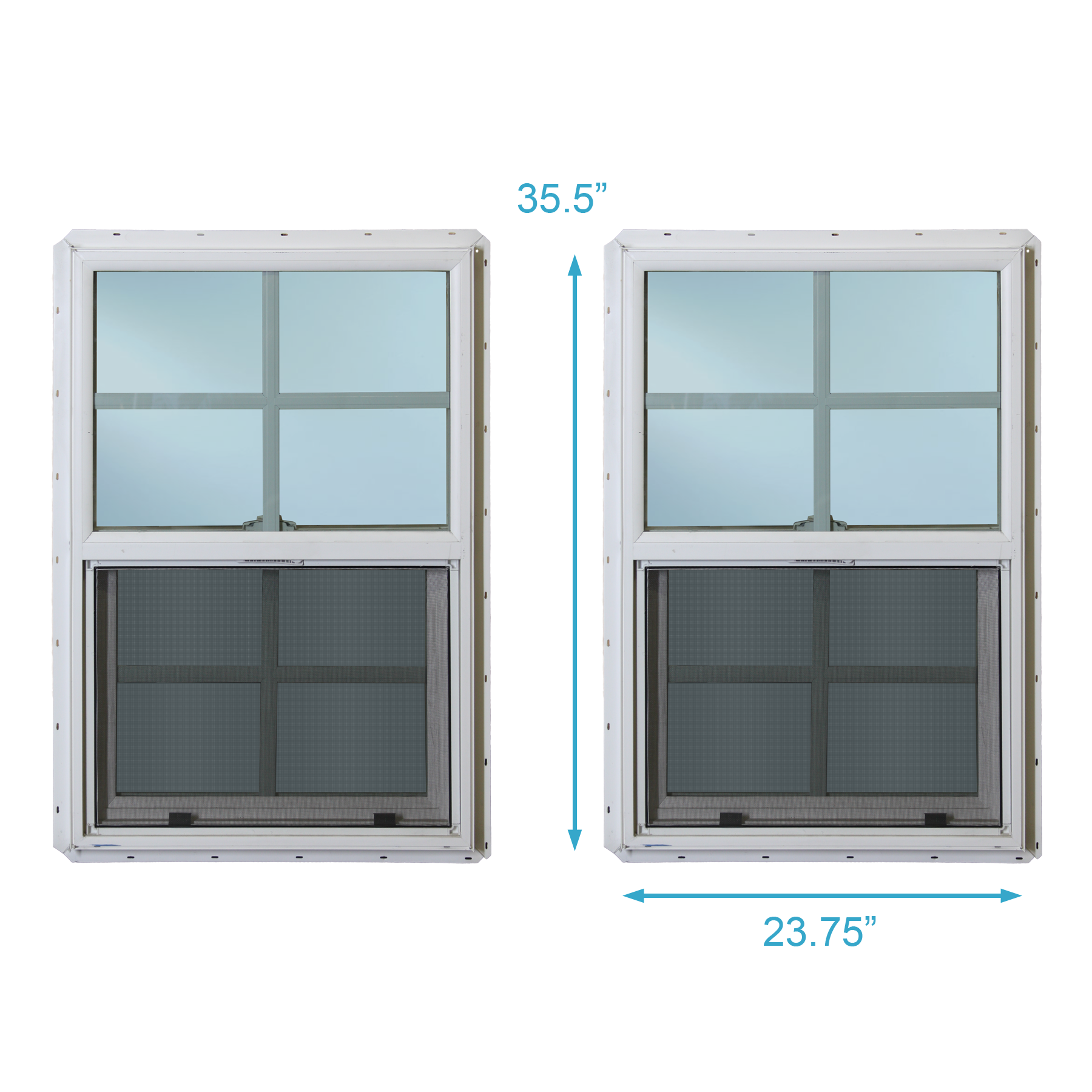 WINDOW IV | $50