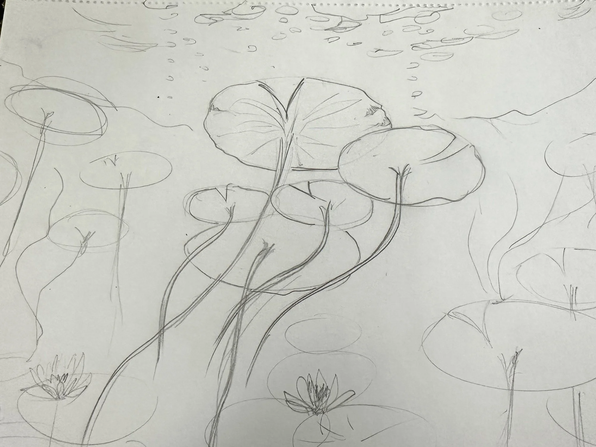 02-mural-sketch-lilies.jpg