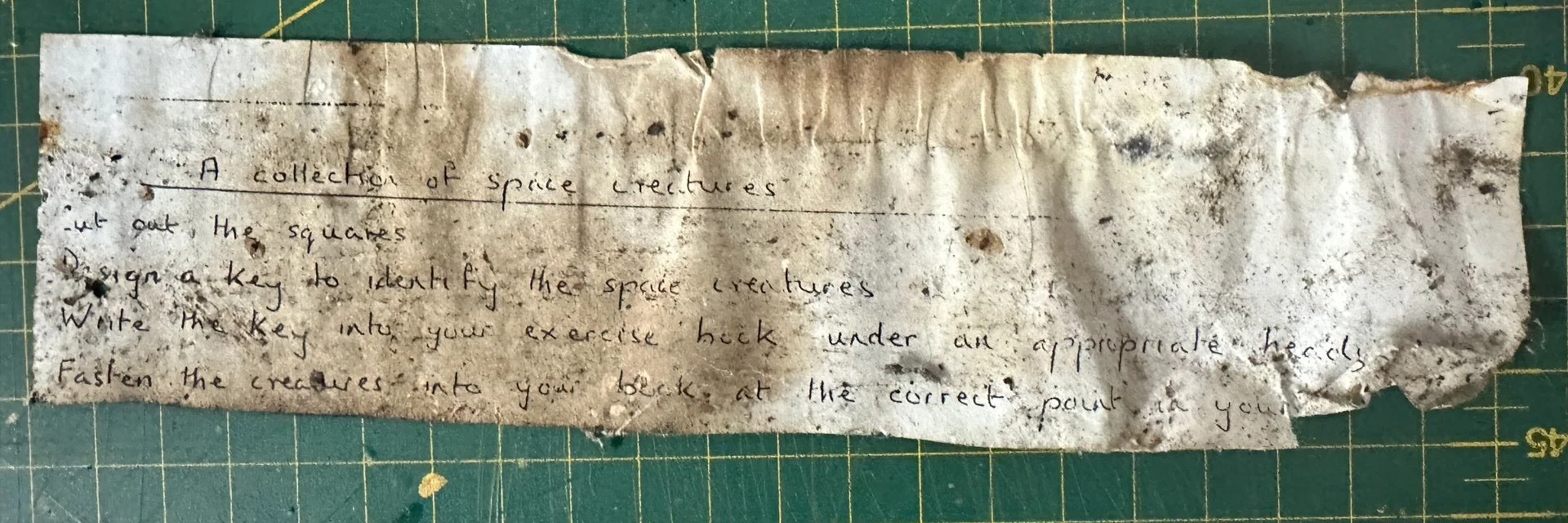 Someone's homework: design a key to identify the space creatures