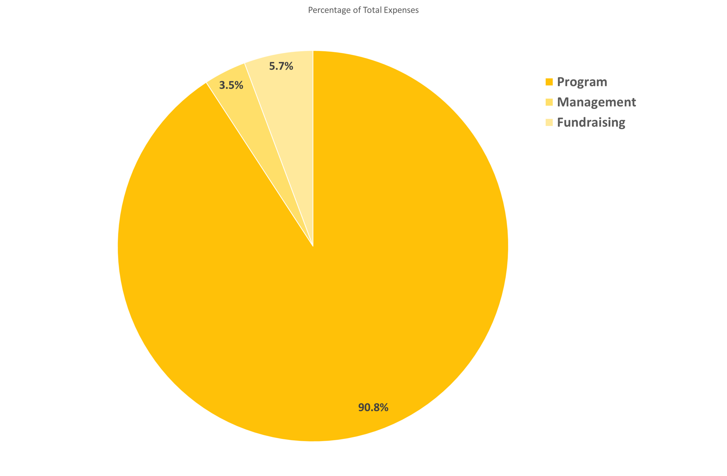 Based on Panzi Foundation's 2015 Audited Financial Statements, Statement of Functional Expenses