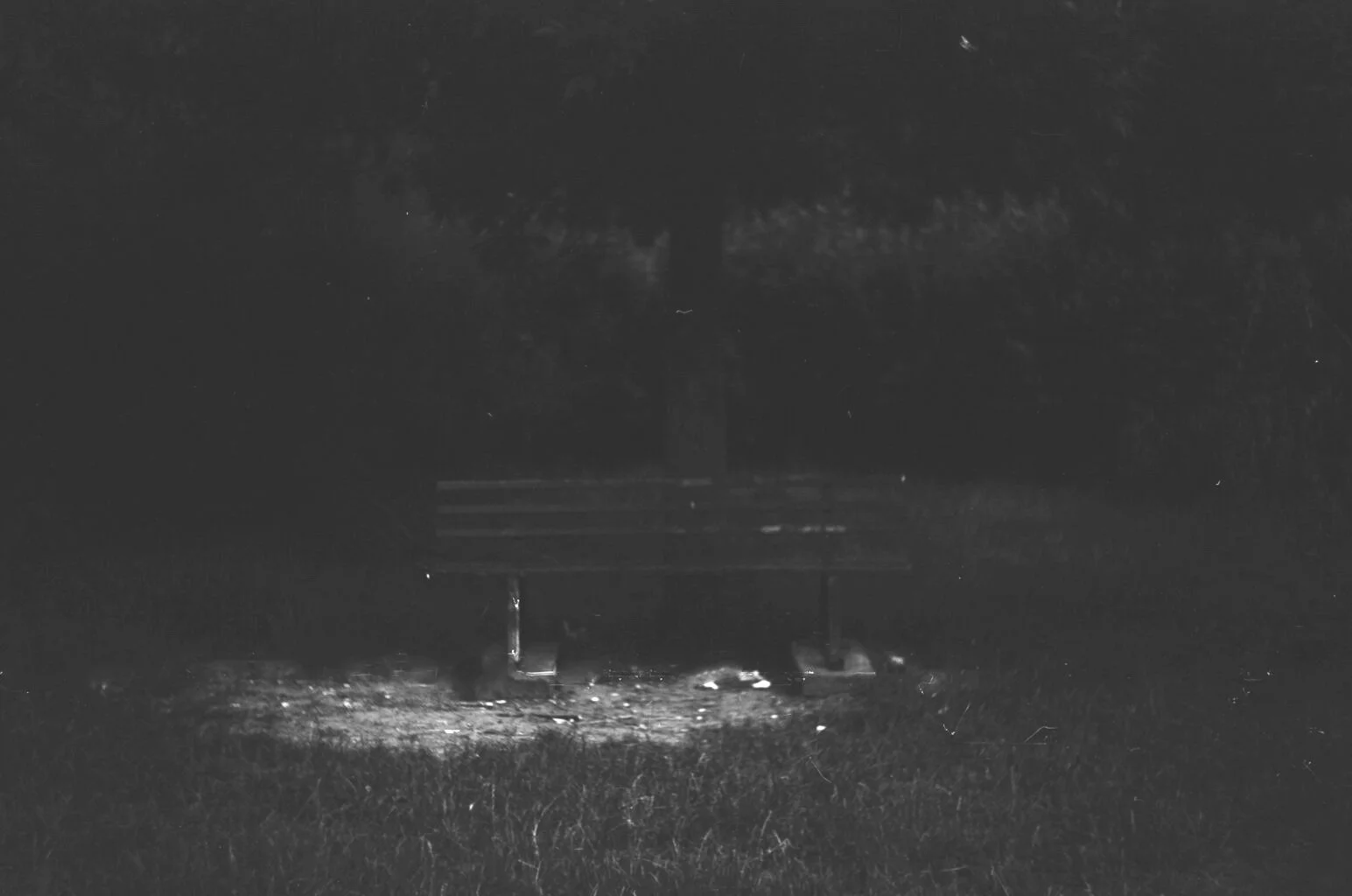 24070024.JPG