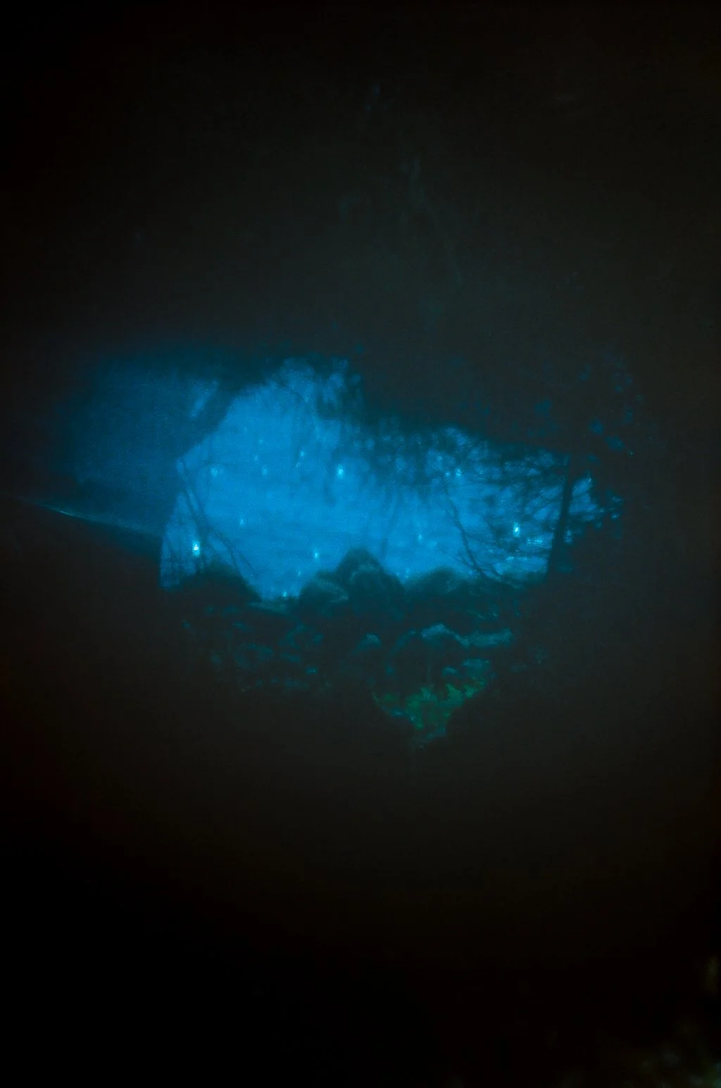 88090016.jpg