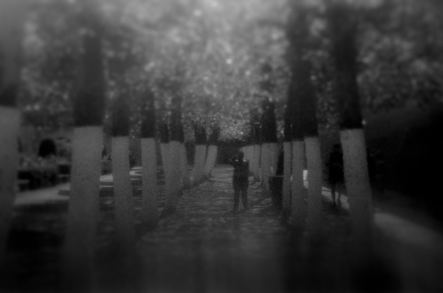 20260613-83870021.jpg