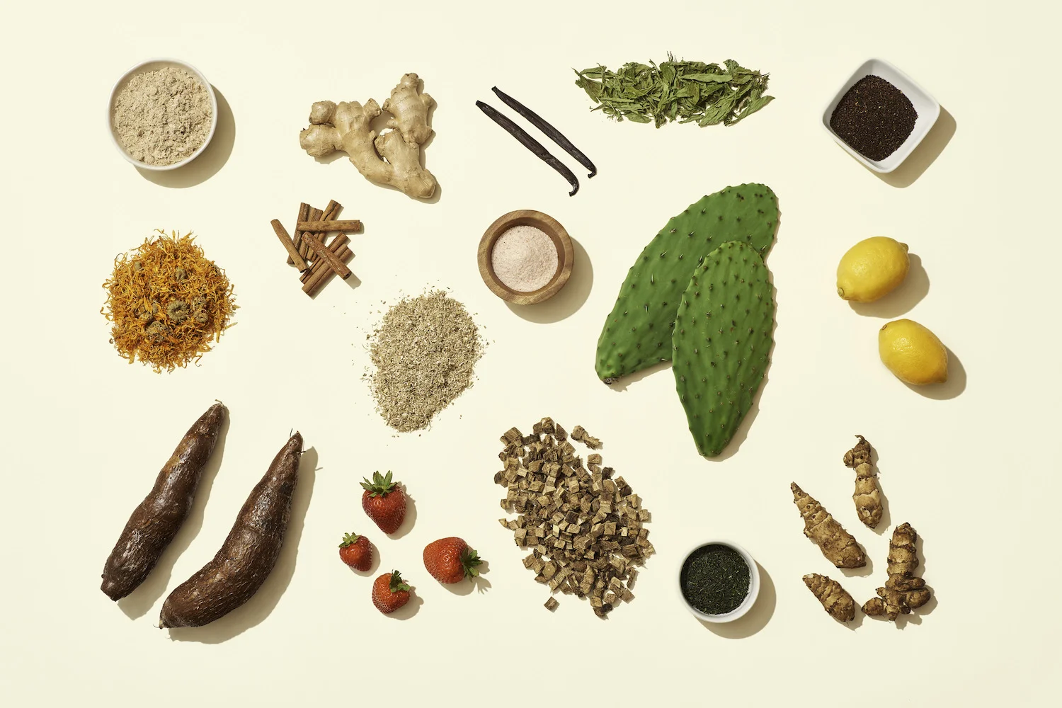 Olipop Ingredients Flat Lay