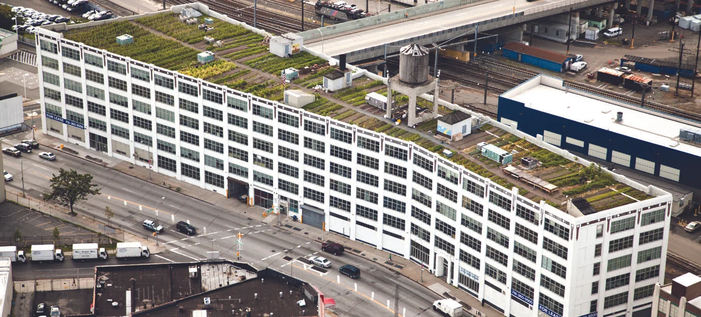 Brooklyn Grange