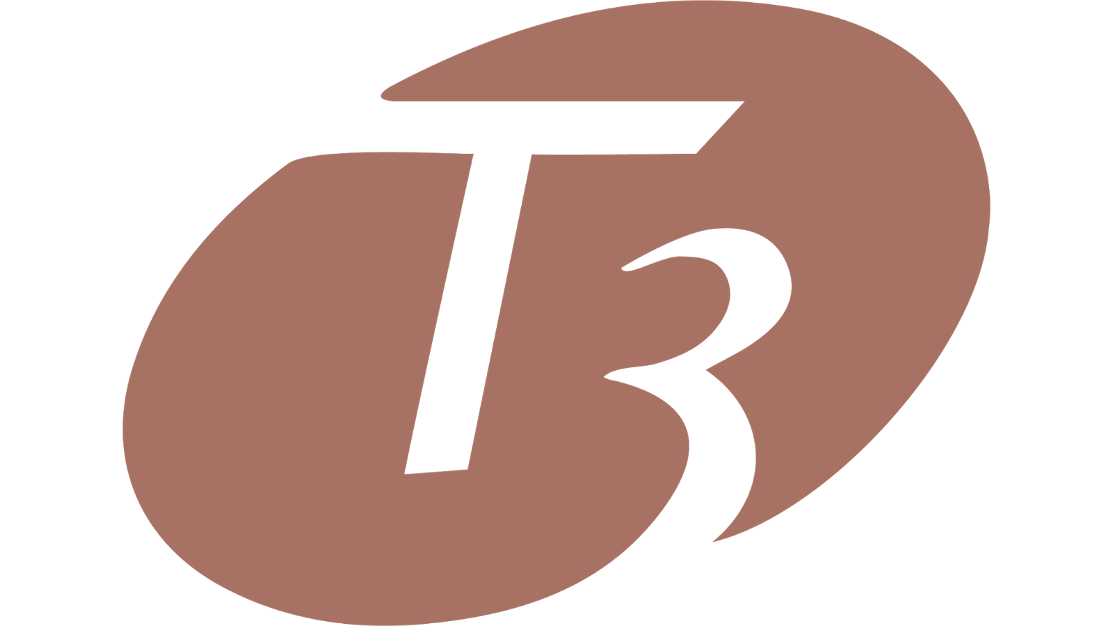 T3_logo.png
