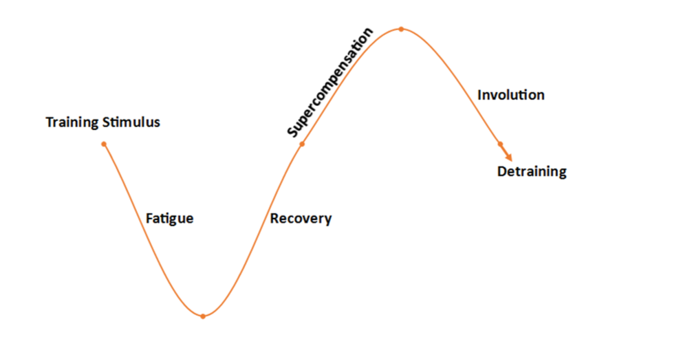 General Adaptation Syndrome graph