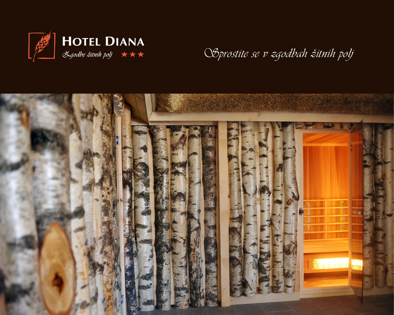 Hotel-Diana---Prosojnica-005.jpg