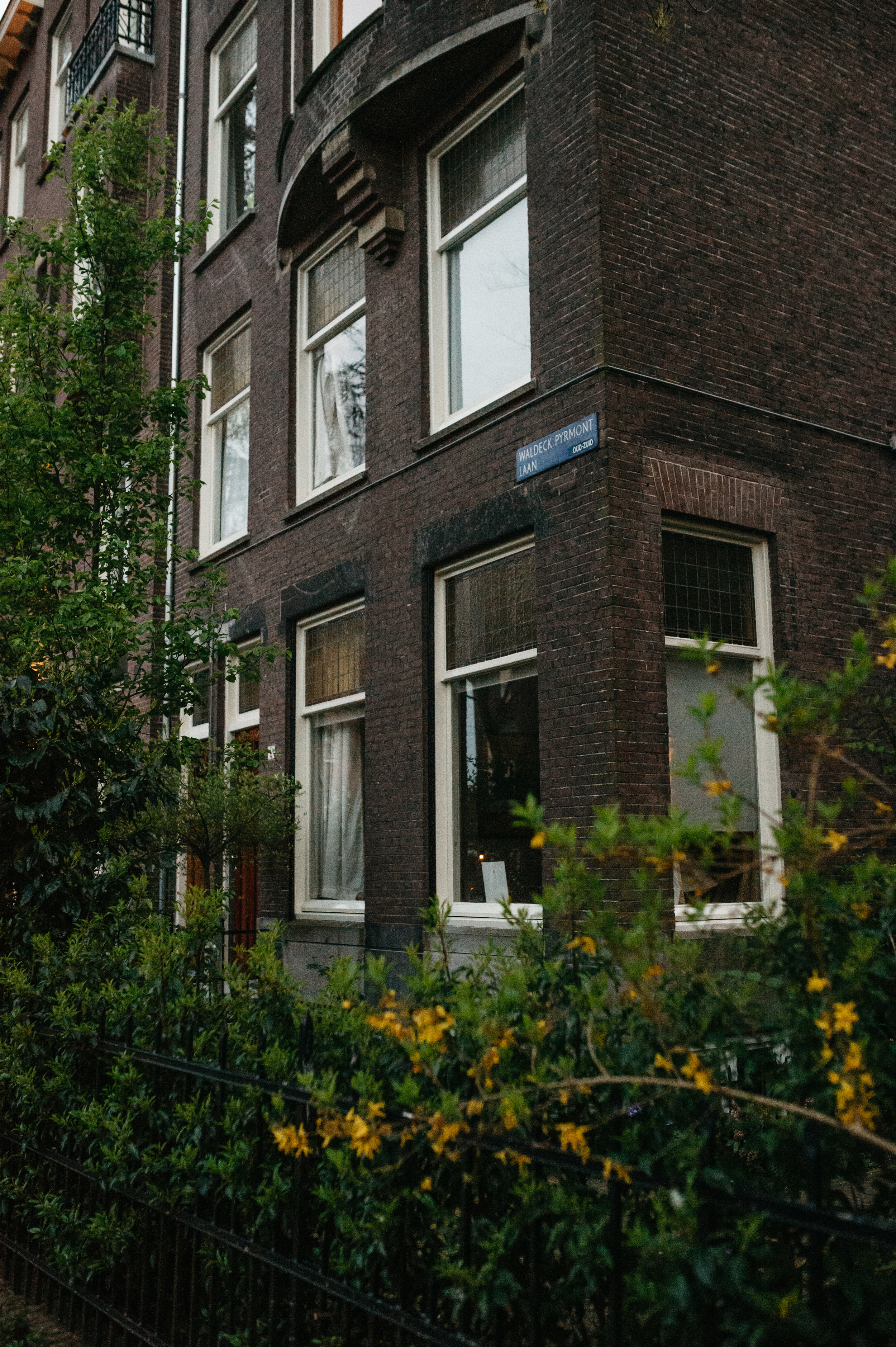 DSC_7067.JPG