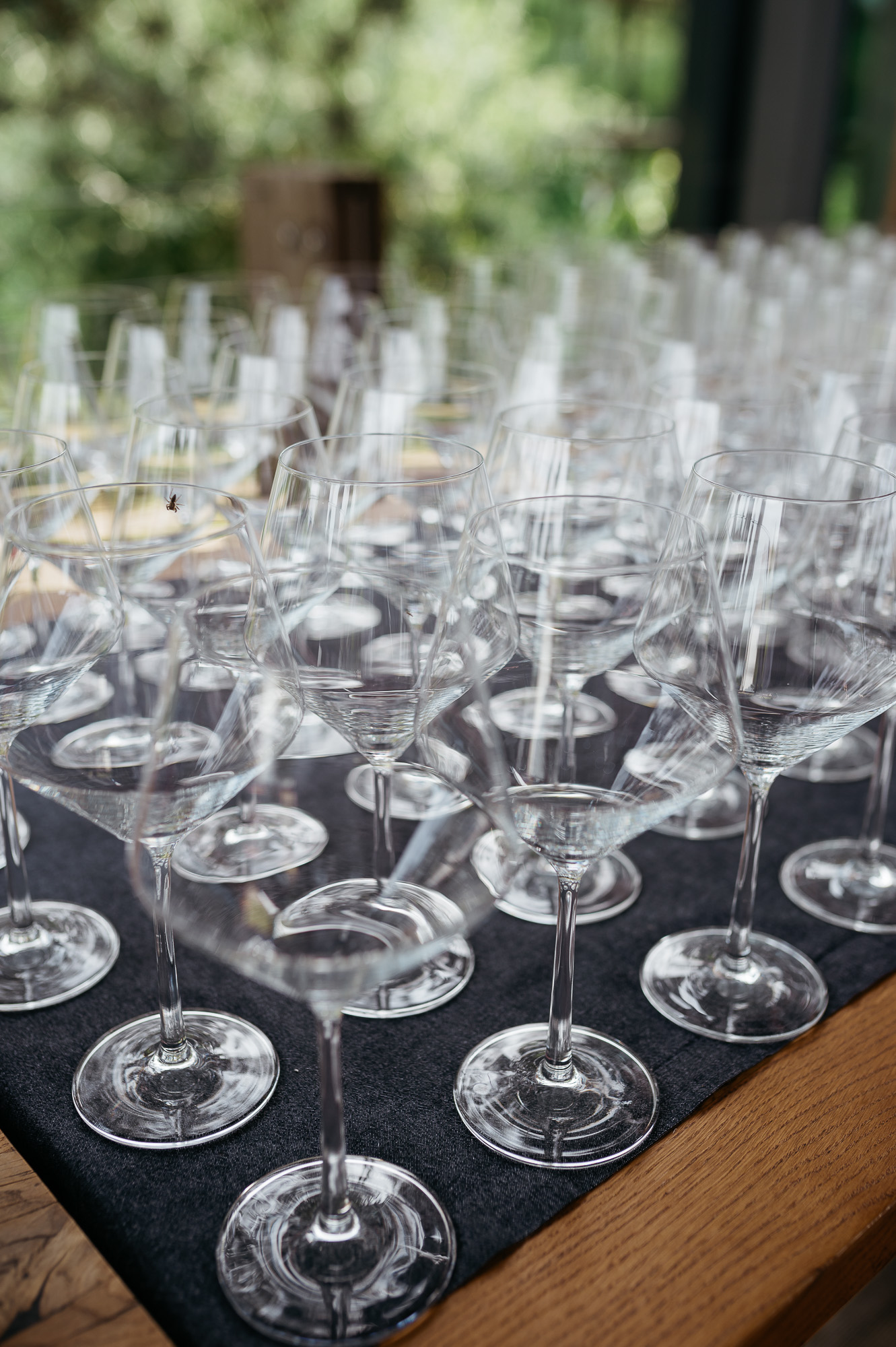 DSC_0079 - 2000px.JPG