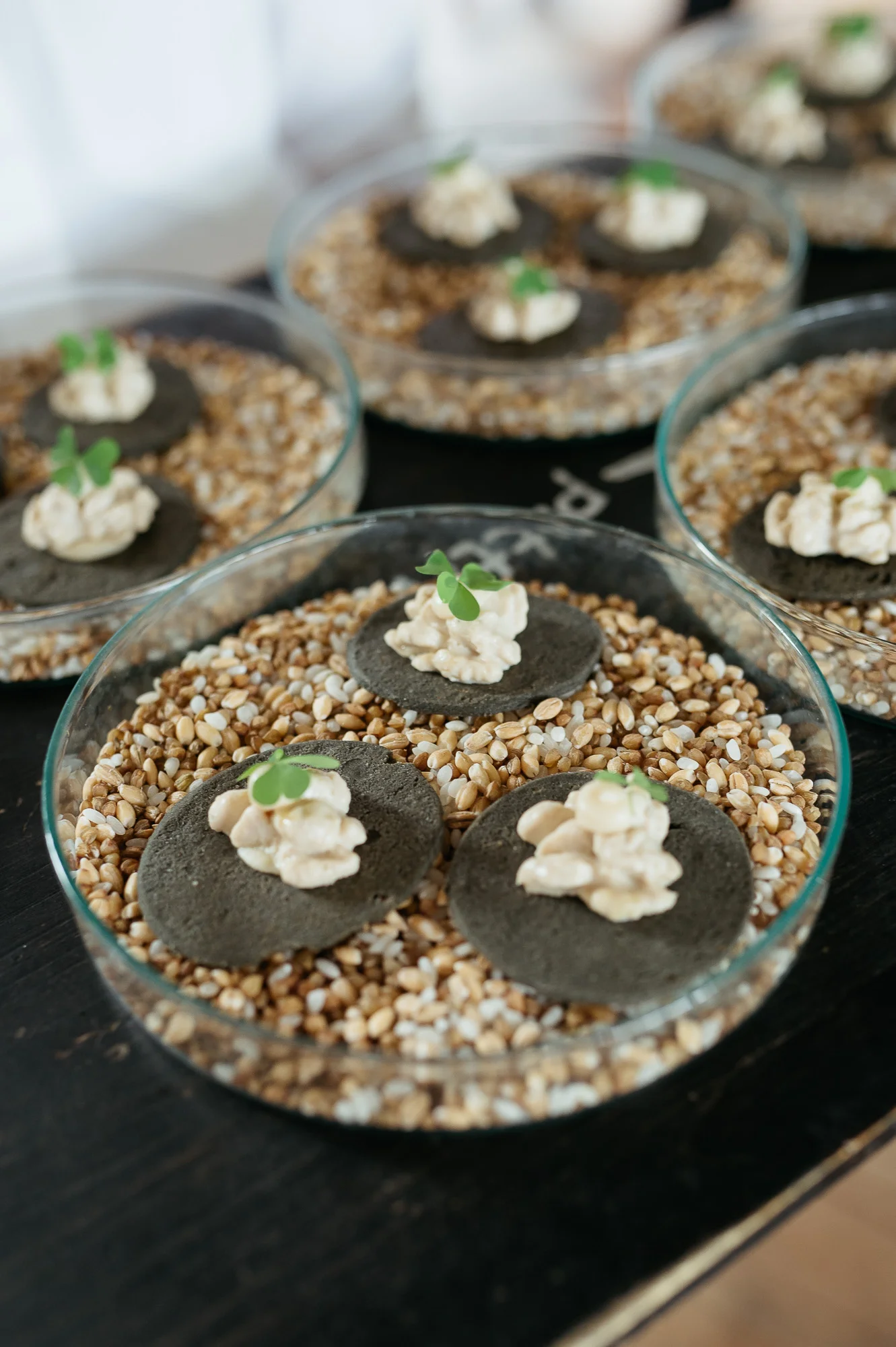 DSC_0085 - 2000px.JPG