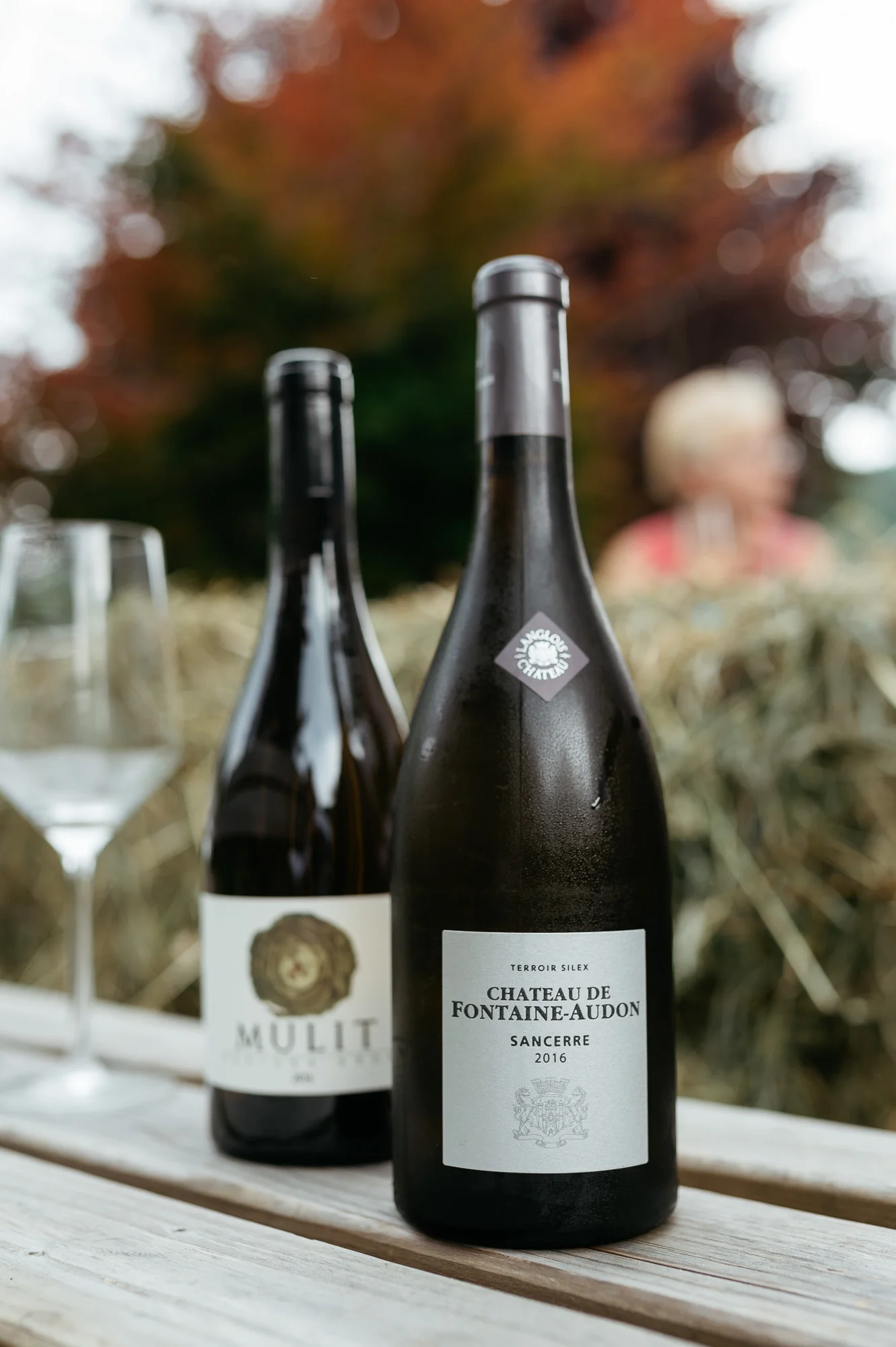 DSC_0446 - 2000px.JPG